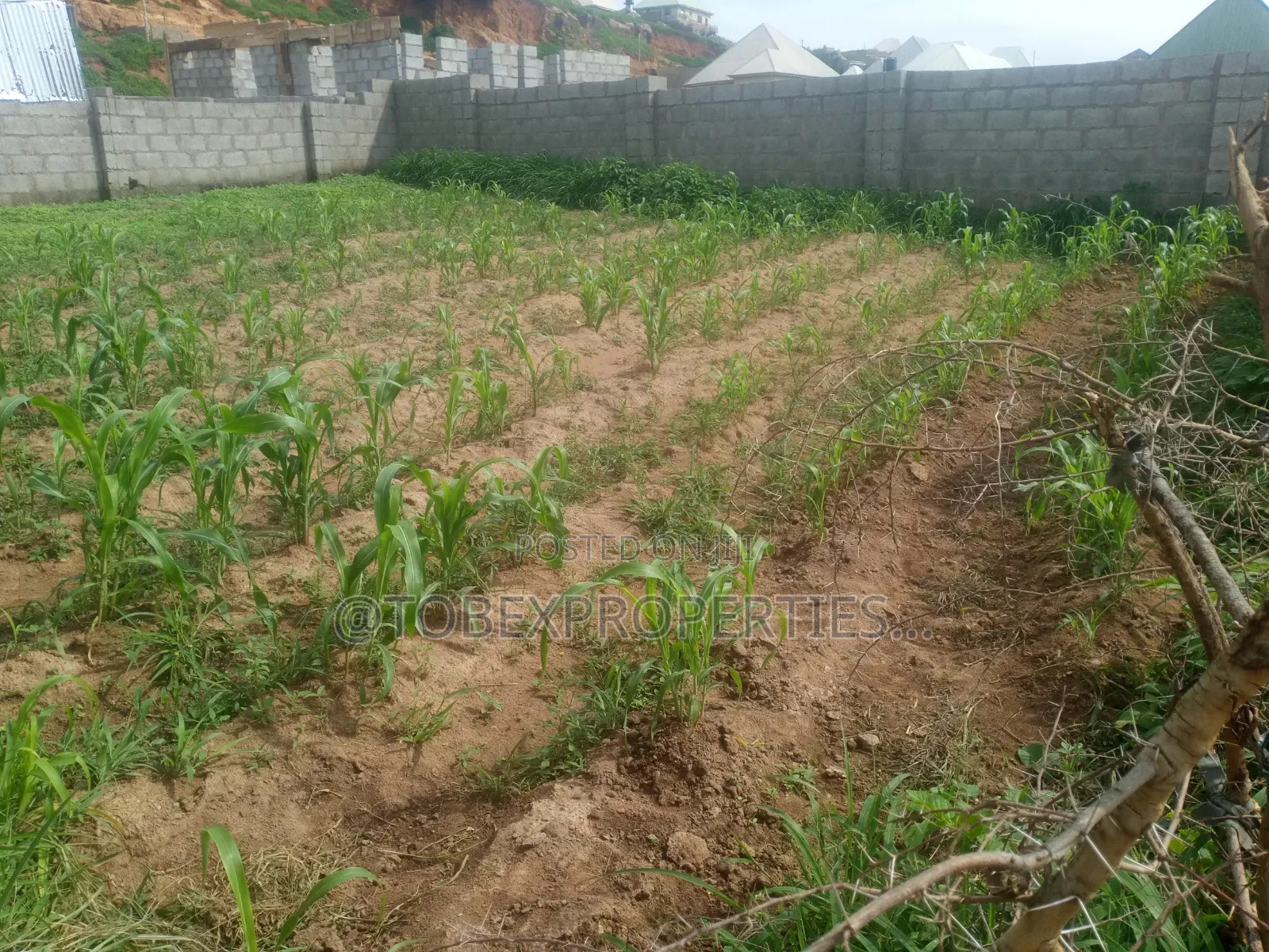 Land for Sale in Karu