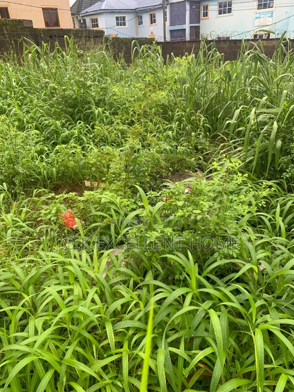 A Plot of Land at Ogba in Ifako-Ogba