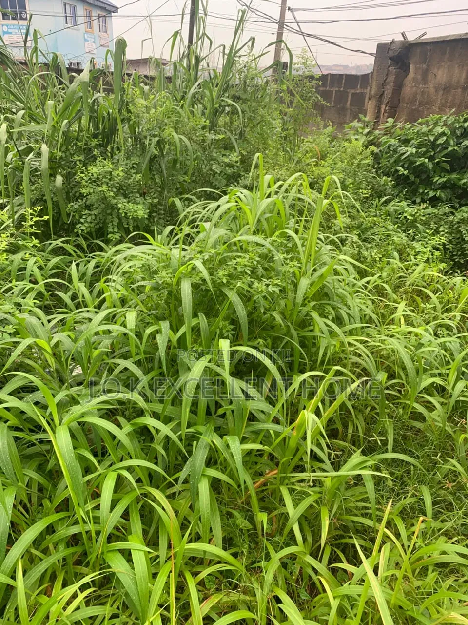 A Plot of Land at Ogba in Ifako-Ogba