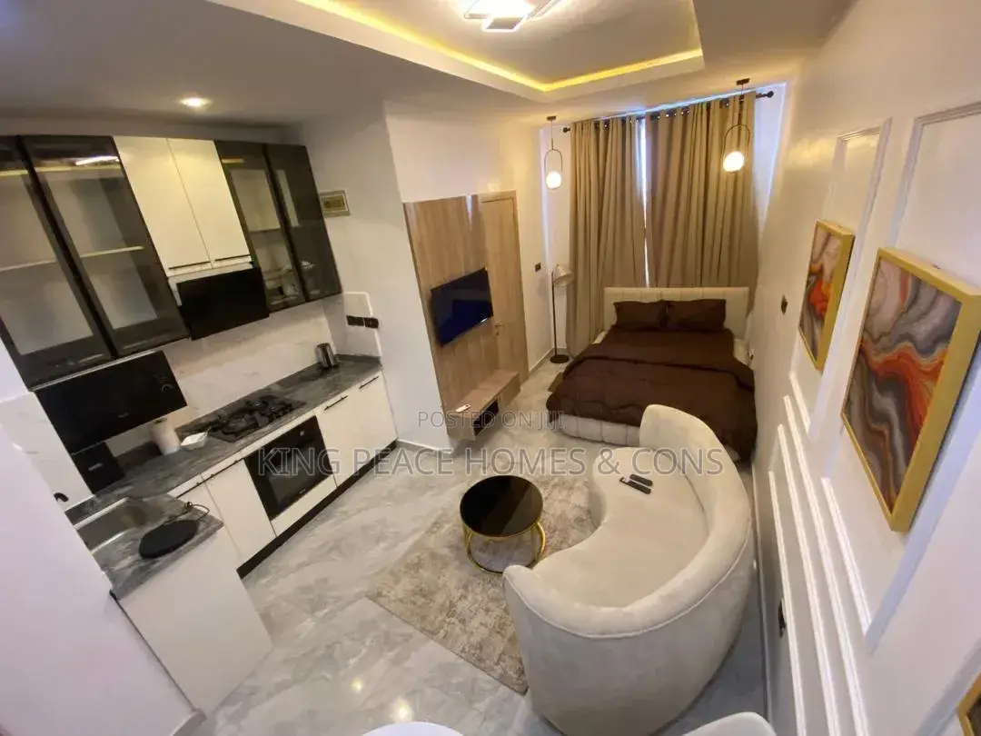Furnished 1bdrm Apartment in Lagos Island / Lagos Island for sale in Lagos Island / Lagos Island