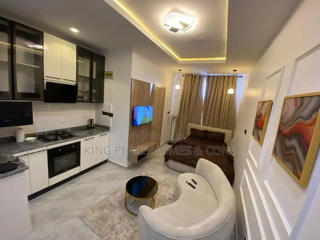 Furnished 1bdrm Apartment in Lagos Island / Lagos Island for sale in Lagos Island / Lagos Island