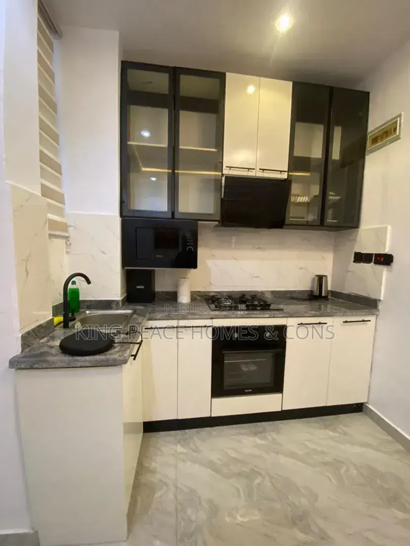 Furnished 1bdrm Apartment in Lagos Island / Lagos Island for sale in Lagos Island / Lagos Island