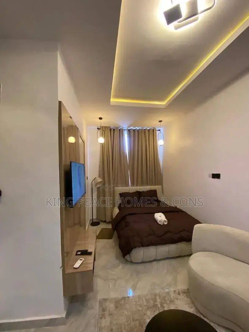 Furnished 1bdrm Apartment in Lagos Island / Lagos Island for sale in Lagos Island / Lagos Island