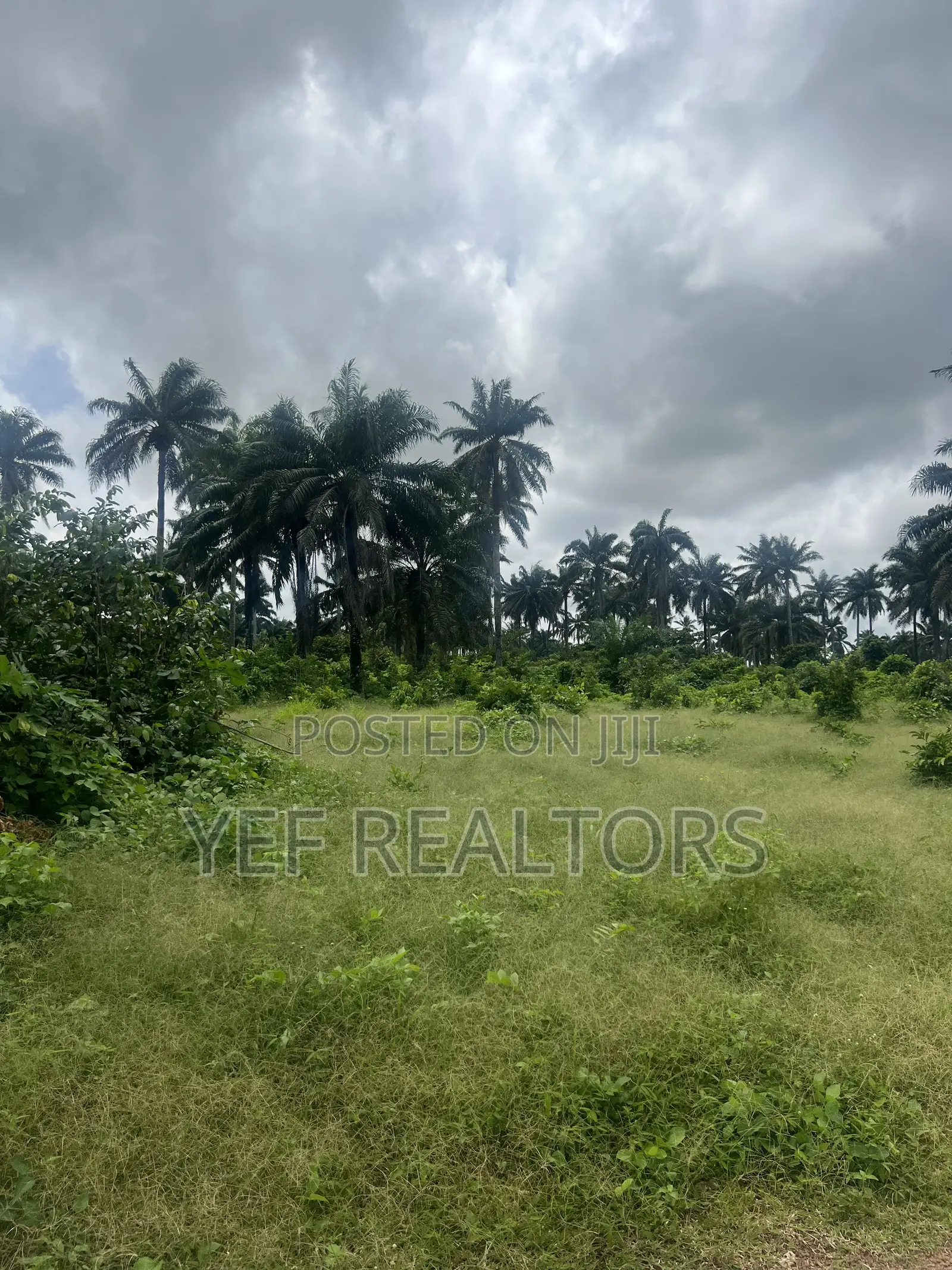16 Plots for Sale Just Beside Buckingham Parks Garden Adron Estate in Ede