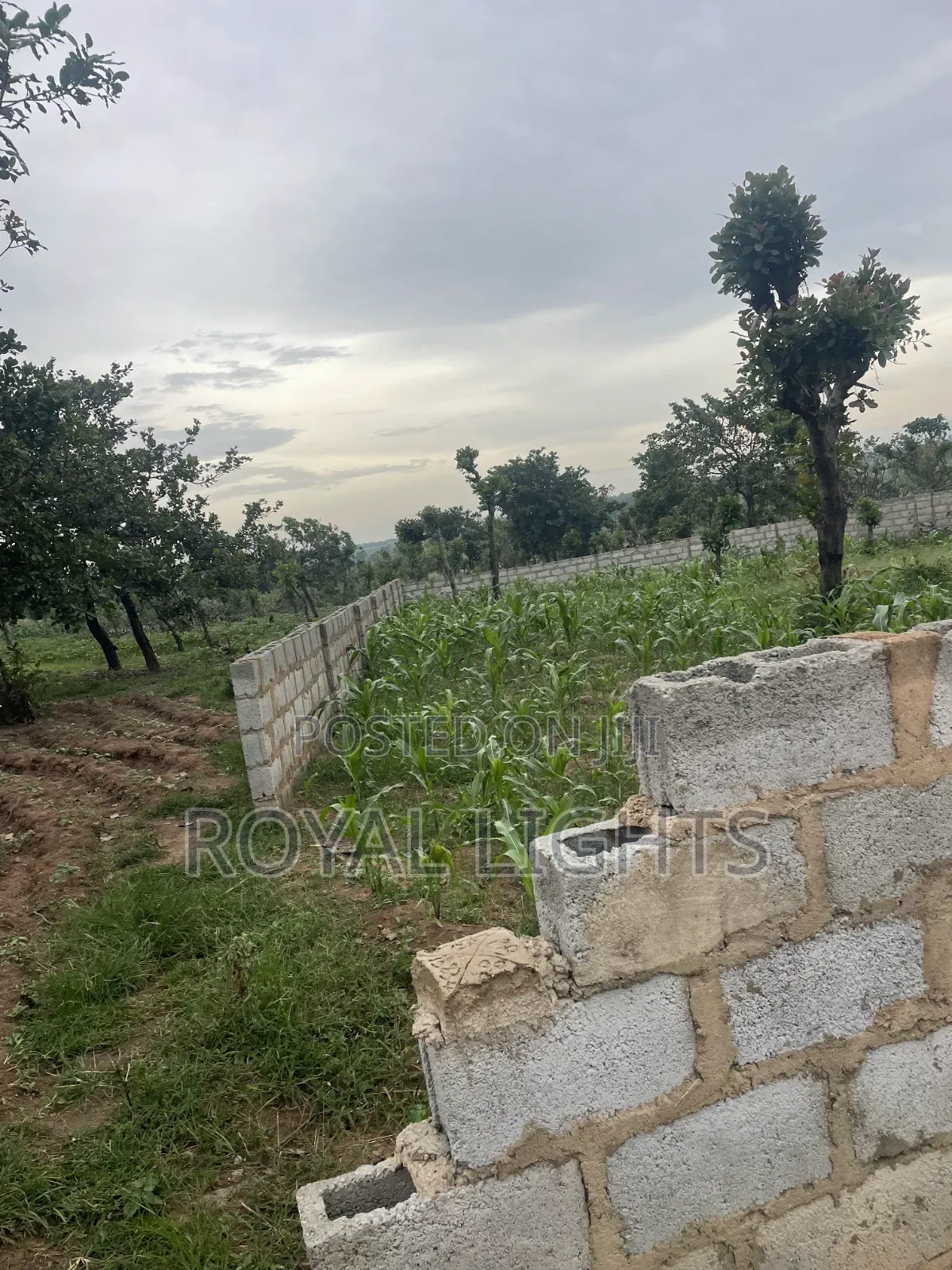 800 Square Meter Land for Sale in Abuja in Dei-Dei