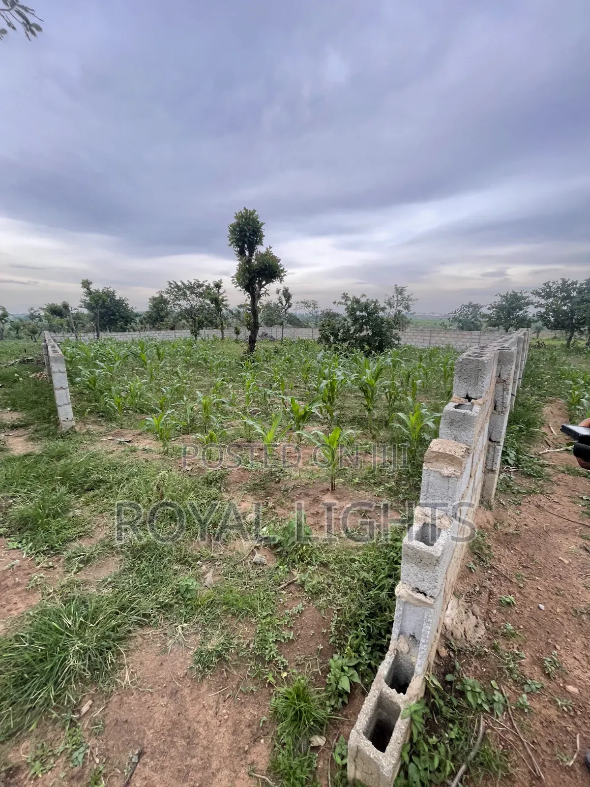 800 Square Meter Land for Sale in Abuja in Dei-Dei