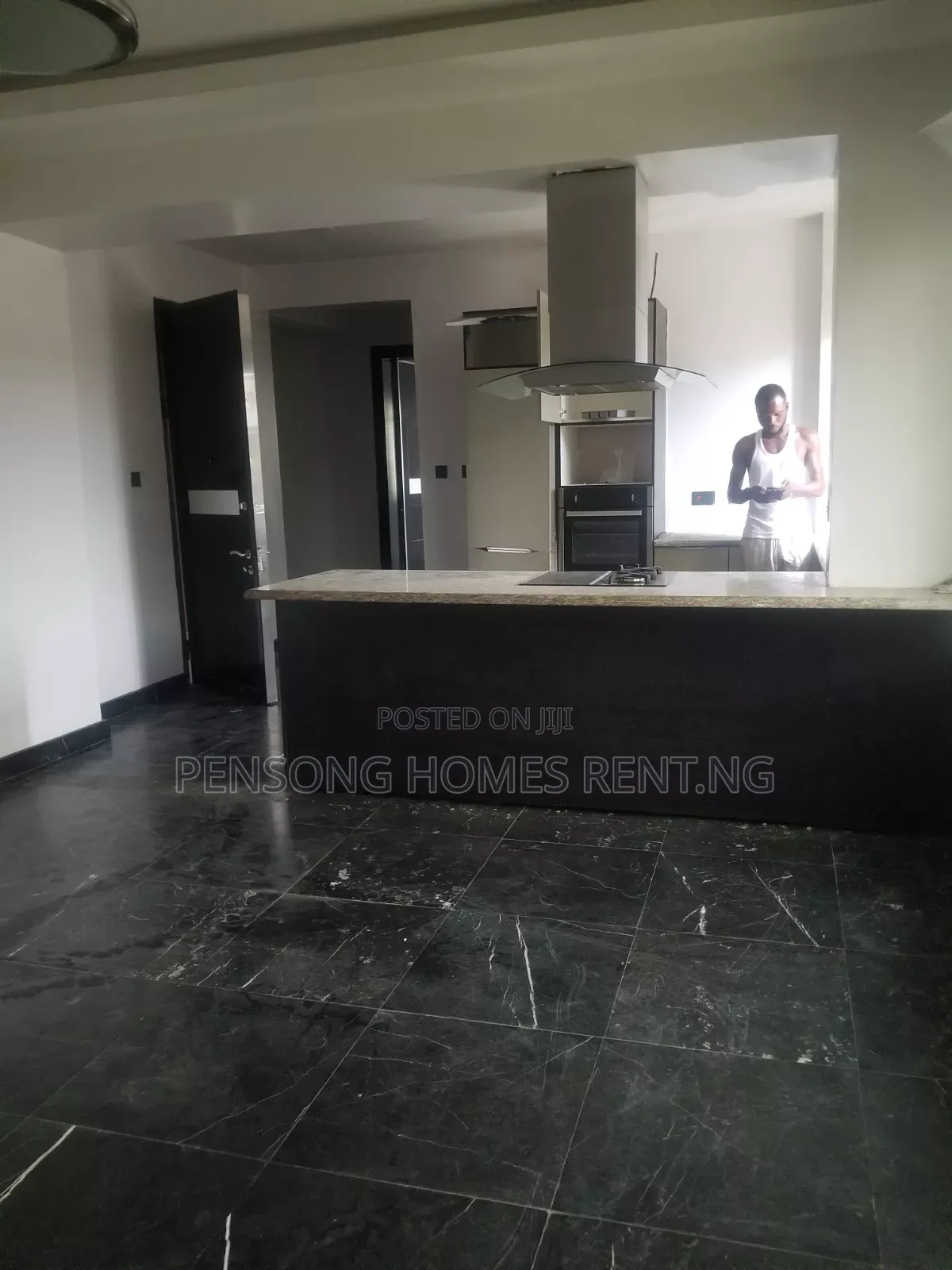 2bdrm Apartment in Banana Island for rent in Banana Island