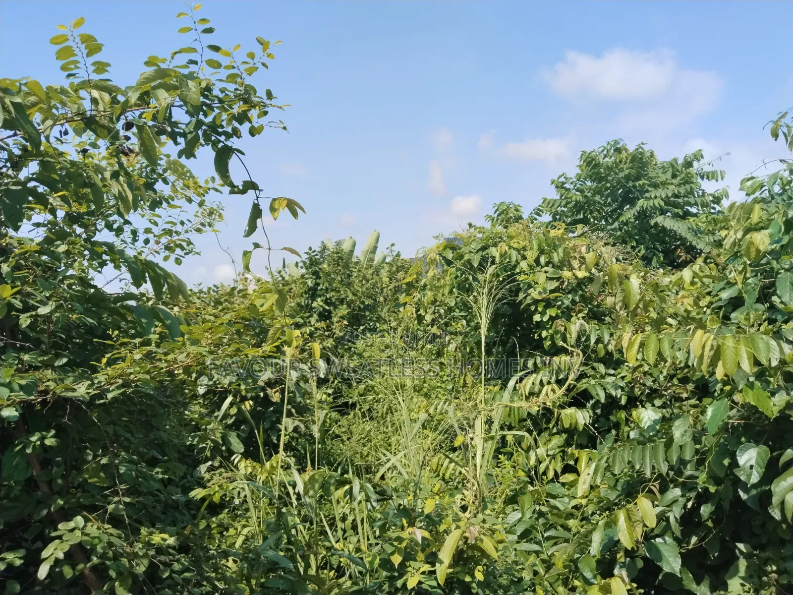 Lovely Plot of Land Fenced With Gate at Makogi Magboro Extension in Obafemi-Owode