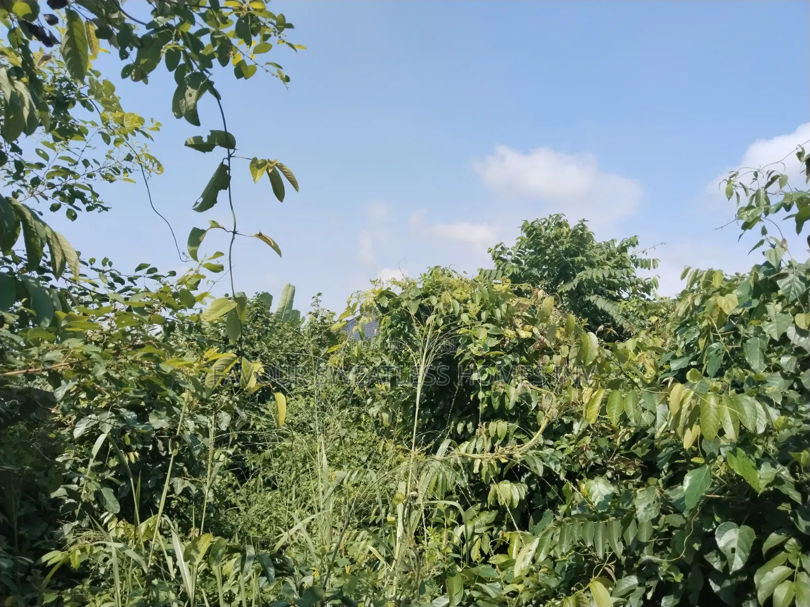 Lovely Plot of Land Fenced With Gate at Makogi Magboro Extension in Obafemi-Owode