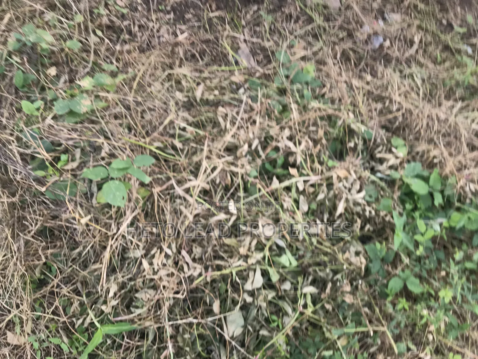 5 Plots of Land for Sale at Iwo Road Express in Iwo Road