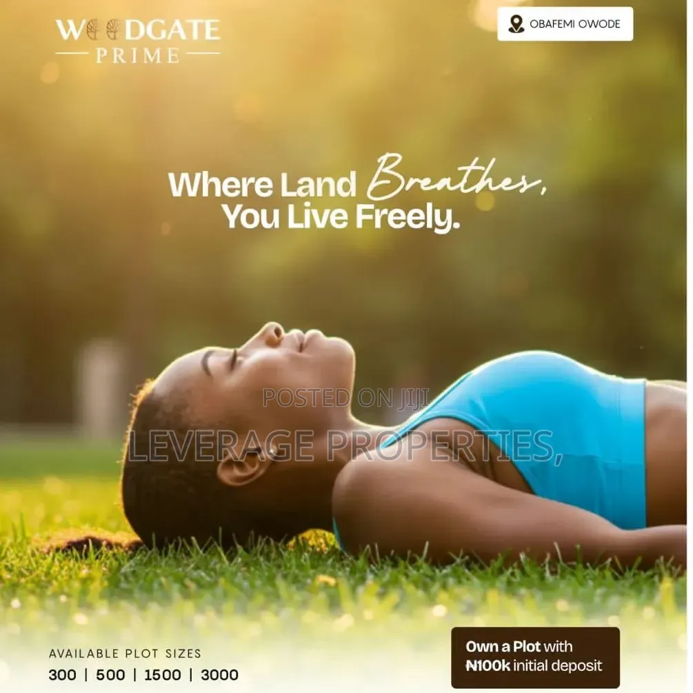 Buy Build Ready Land in the Axis of Chinese Companies, Obafemi-Owode in Obafemi-Owode