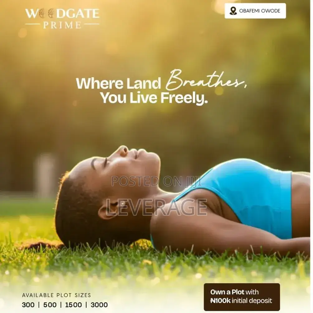 Buy Build Ready Land in the Axis of Chinese Companies, Obafemi-Owode in Obafemi-Owode