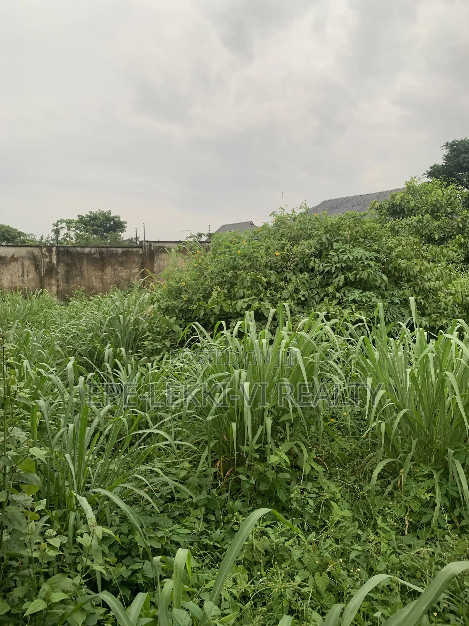 Full Plot of Land in Okeagbo, Gberigbe, Ikorodu, Lagos in Gberigbe