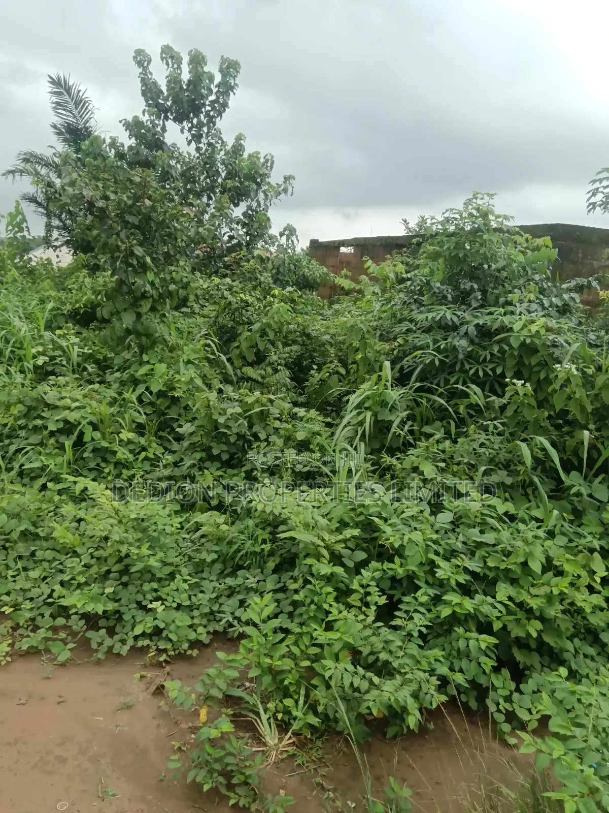 Ipakere Epe Land With Survey and Deed of Assignment in Epe