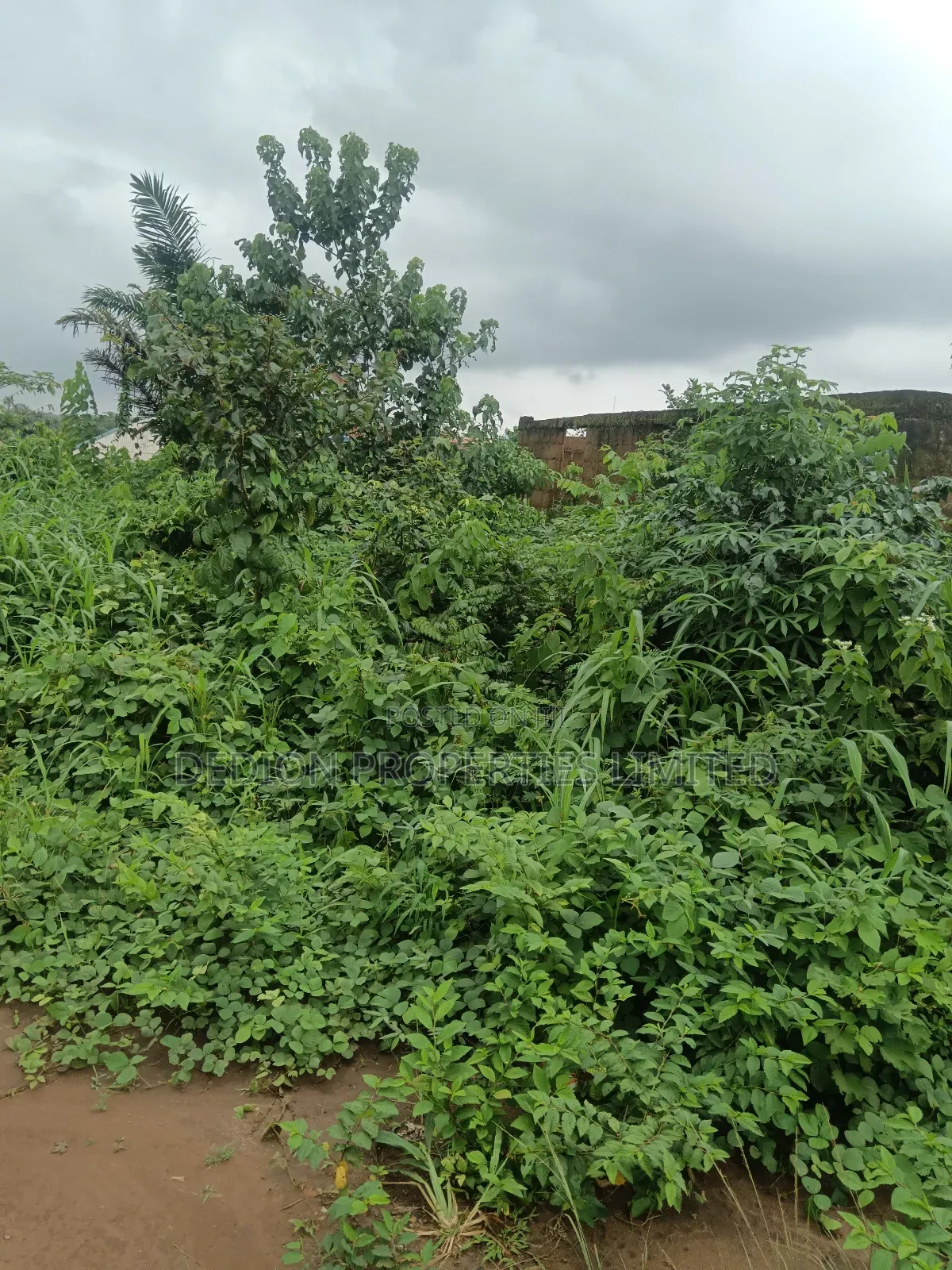 Ipakere Epe Land With Survey and Deed of Assignment in Epe