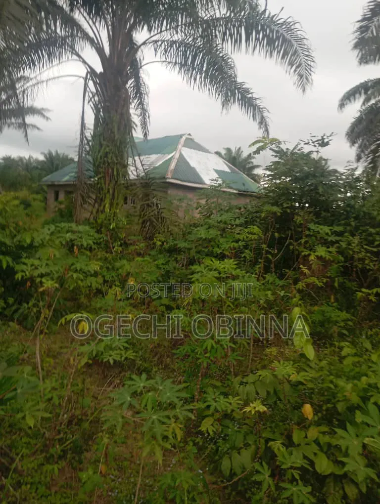 Distress Sale of 2 Plots of Land at Ulakwo Etche in Etche