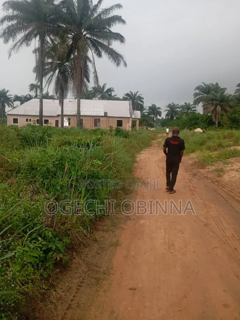 Distress Sale of 2 Plots of Land at Ulakwo Etche in Etche