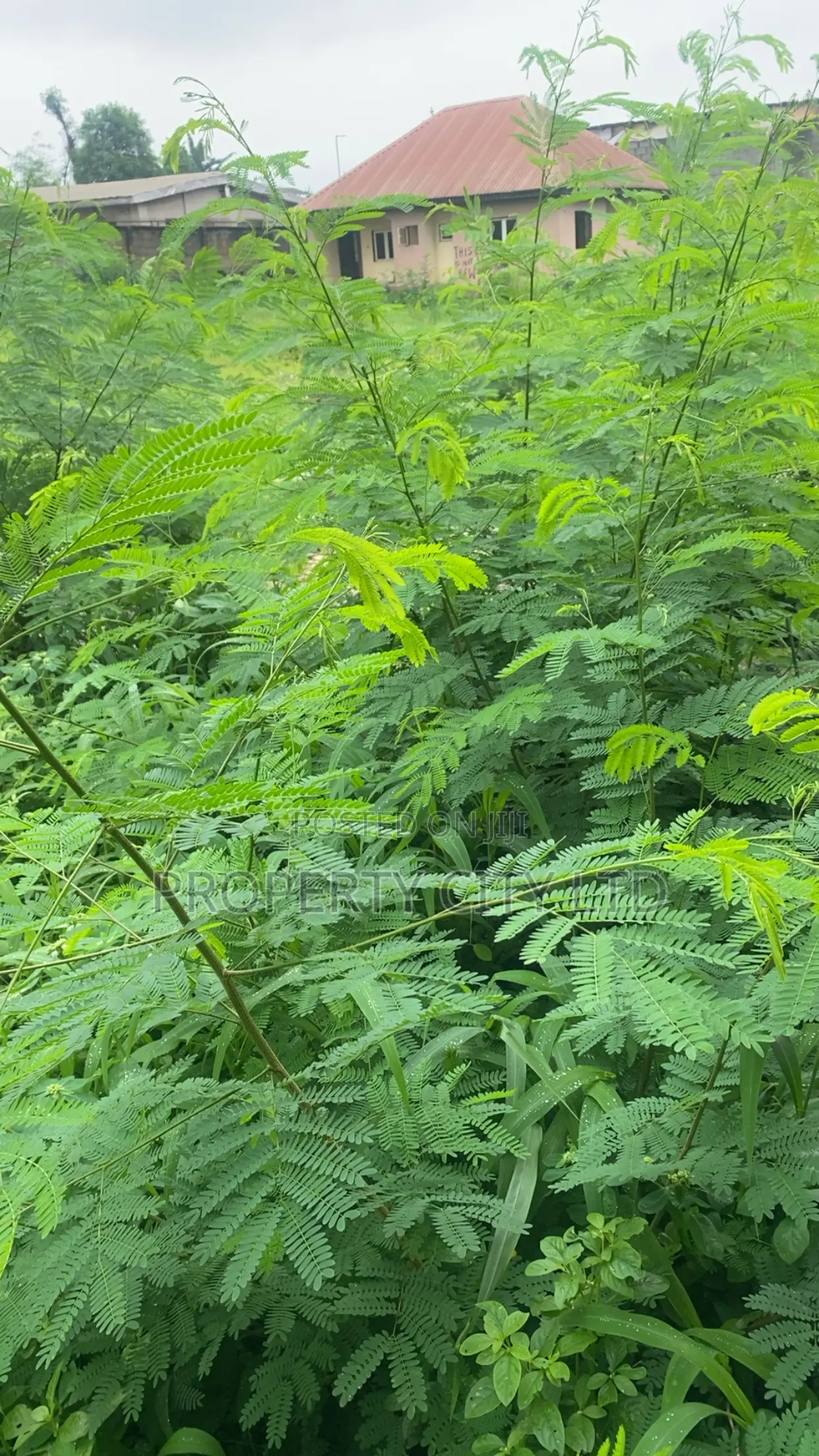 Bare Plots of Land for Sale at CBD Road, Ikeja in Alausa