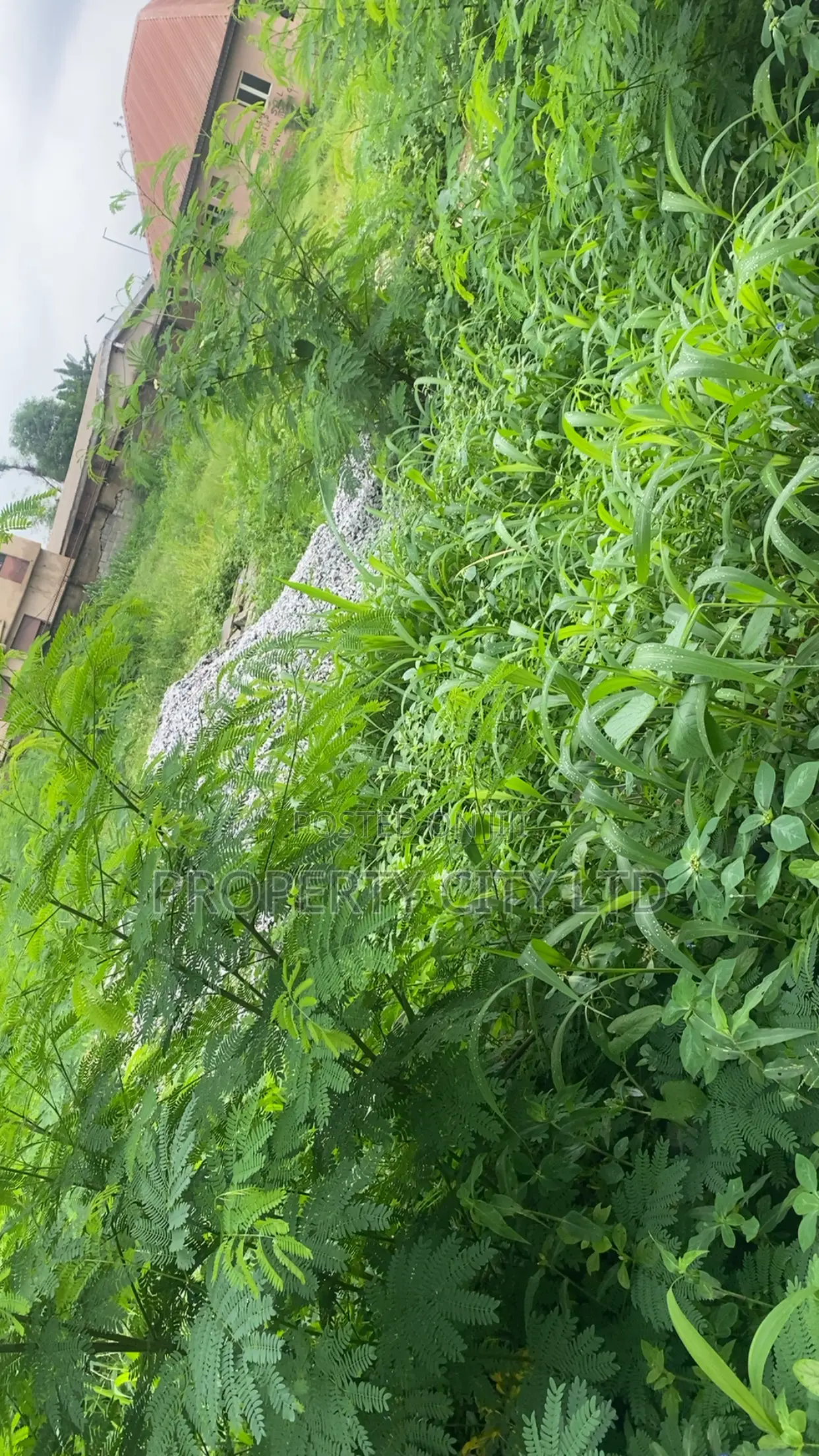 Bare Plots of Land for Sale at CBD Road, Ikeja in Alausa