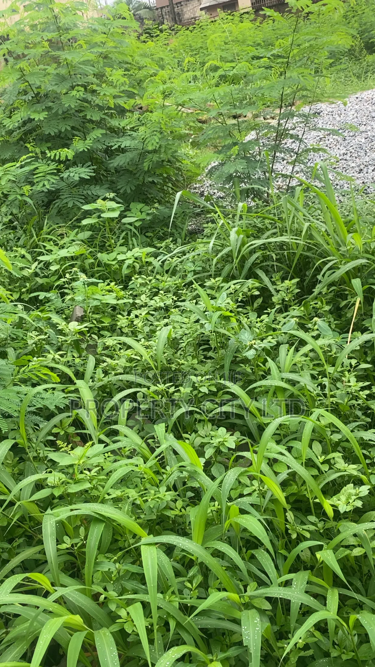 Bare Plots of Land for Sale at CBD Road, Ikeja in Alausa