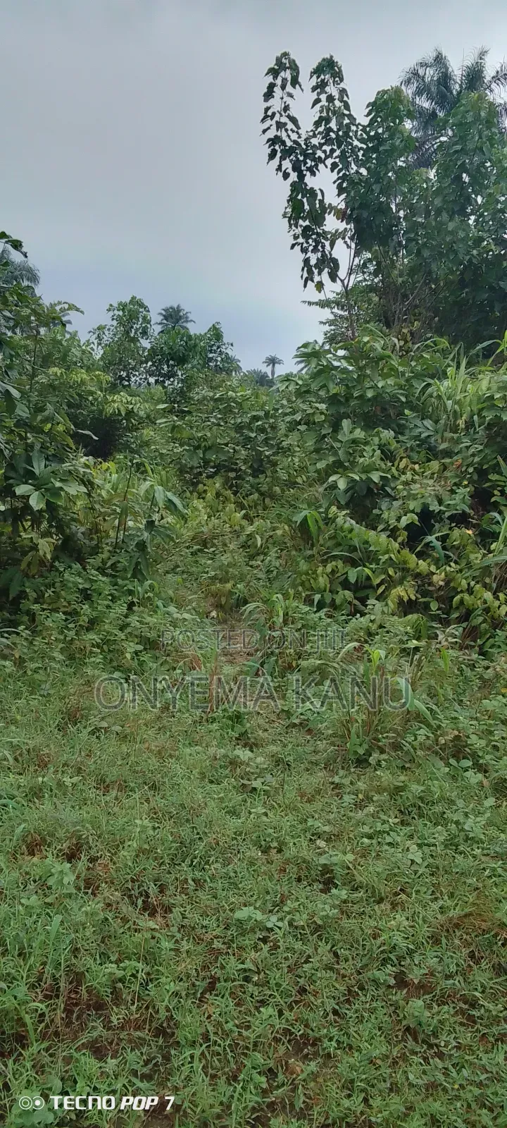 100 Plots for Commercial Use. in Ukwa