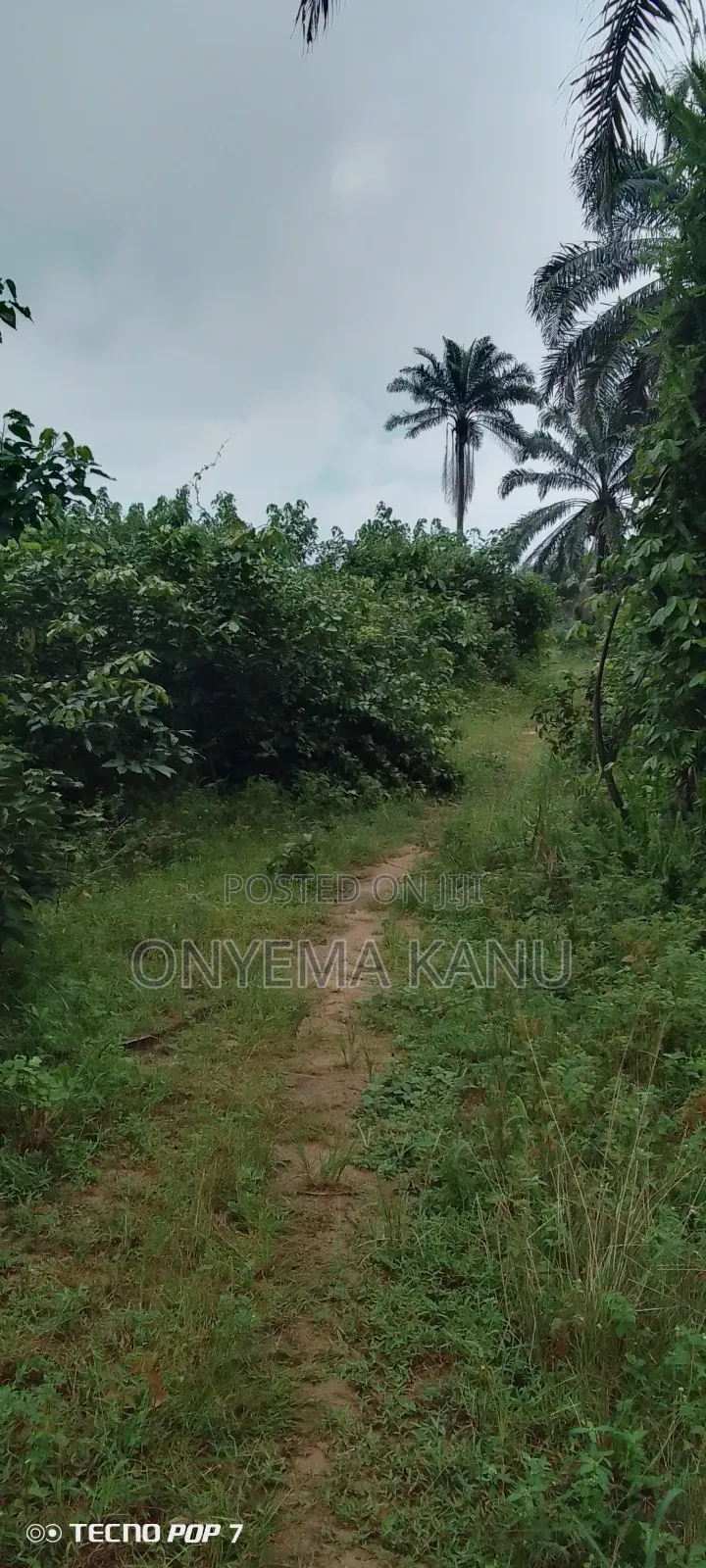 100 Plots for Commercial Use. in Ukwa