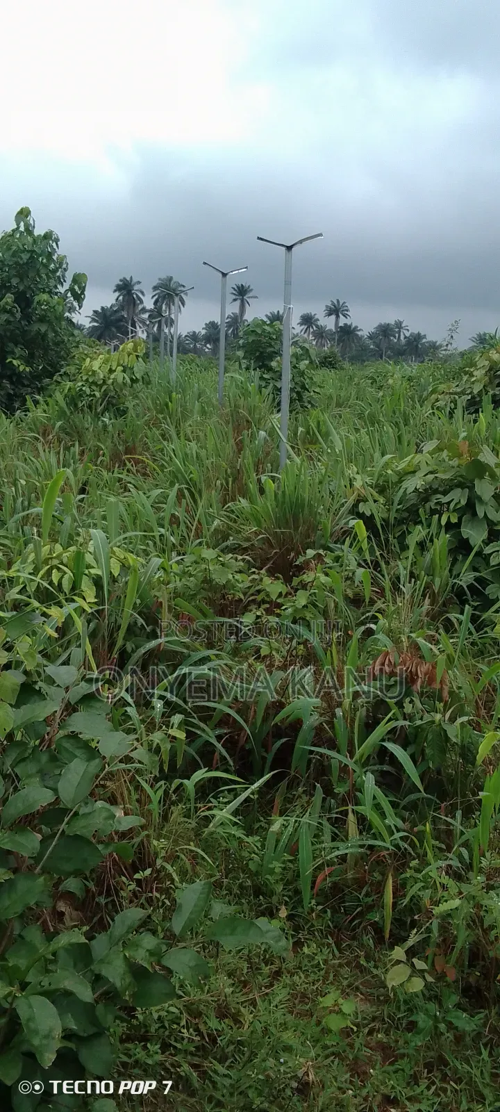 100 Plots for Commercial Use. in Ukwa