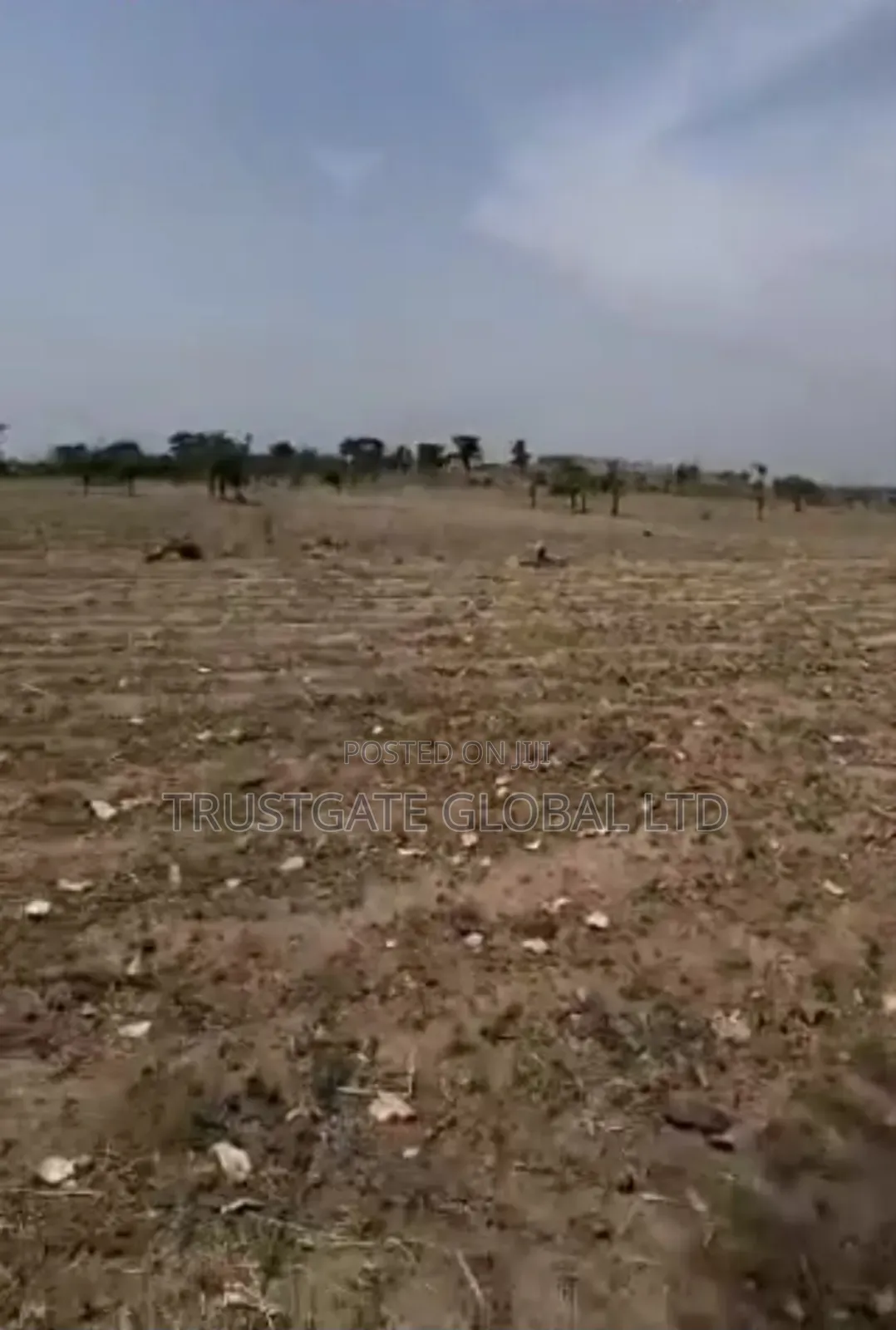 65 Hectares Idu Industrial With C of O in Idu Industrial
