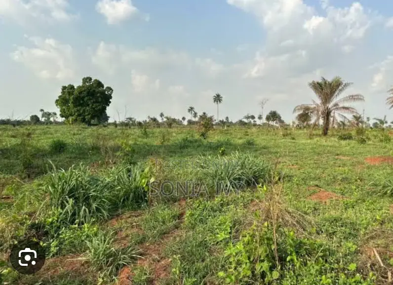 Palms Villa Asaba in Aniocha South