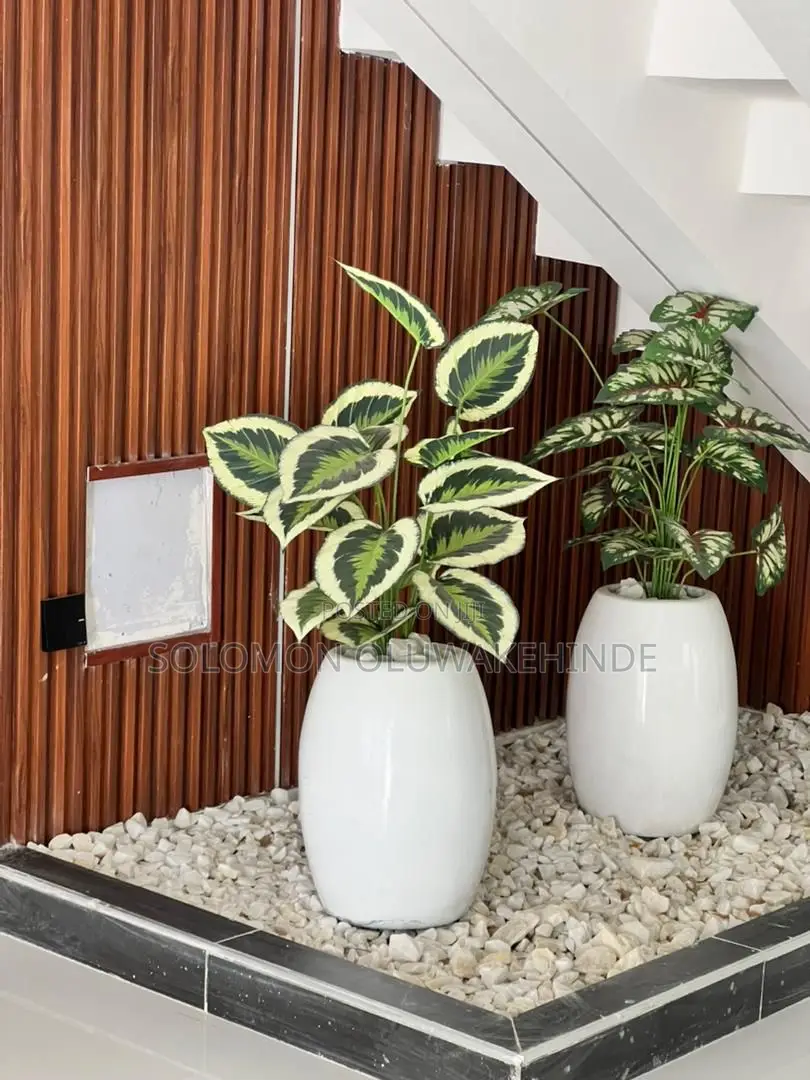 5bdrm Duplex in Chevron for sale in Chevron