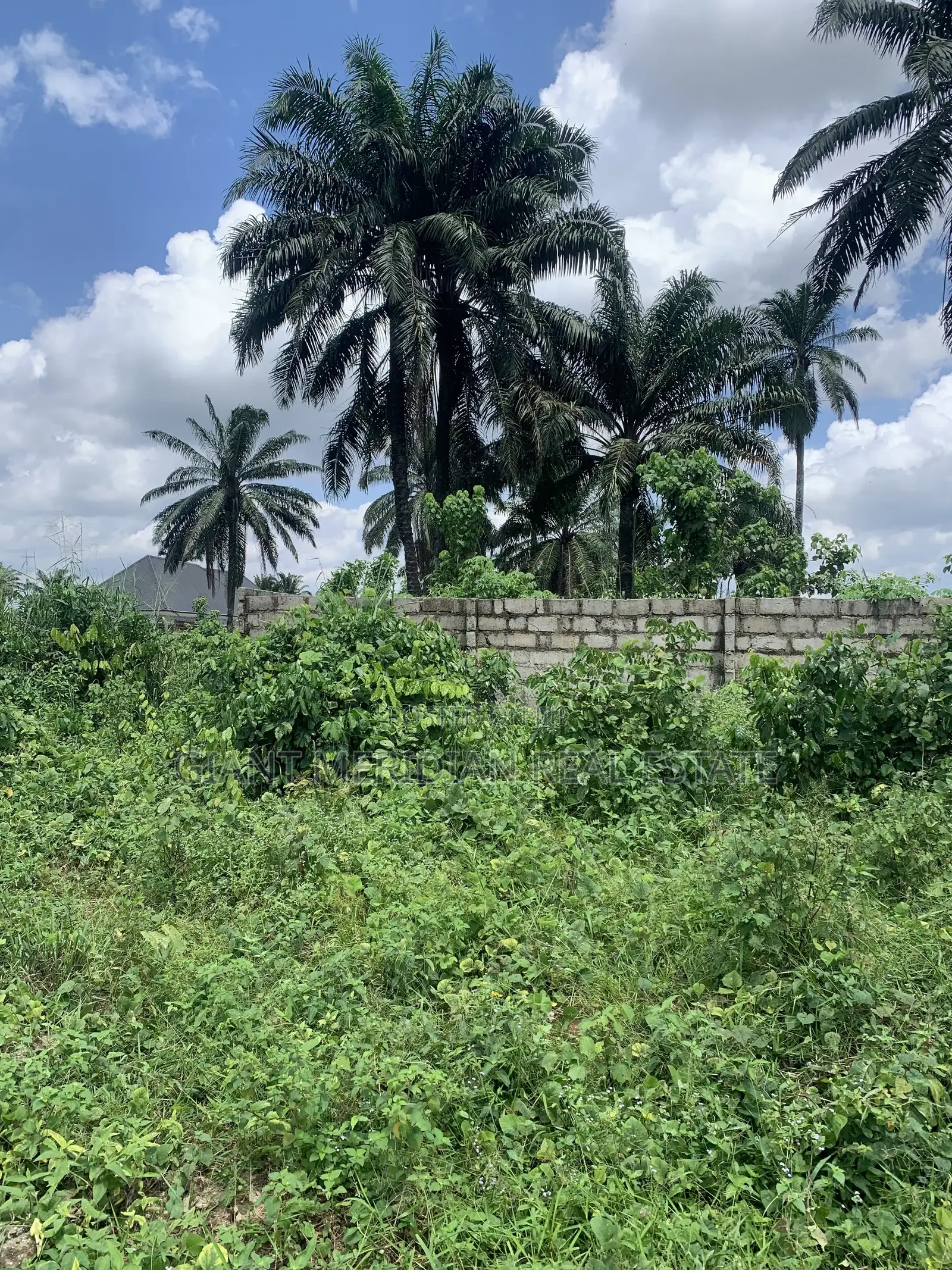 Land for Sale in Igwuruta, Ph in Obio-Akpor