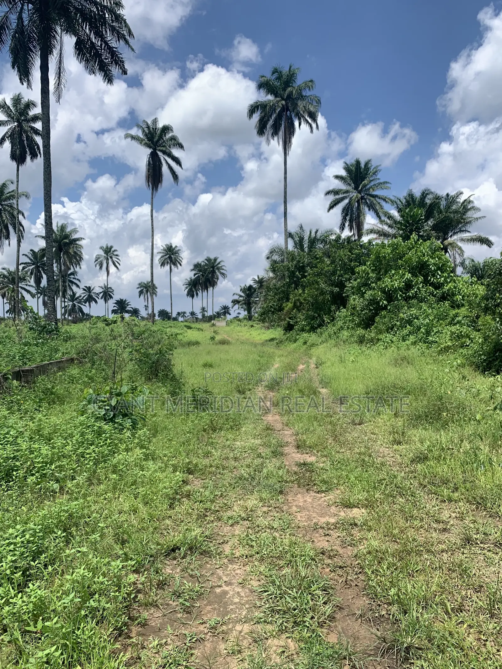 Land for Sale in Igwuruta, Ph in Obio-Akpor