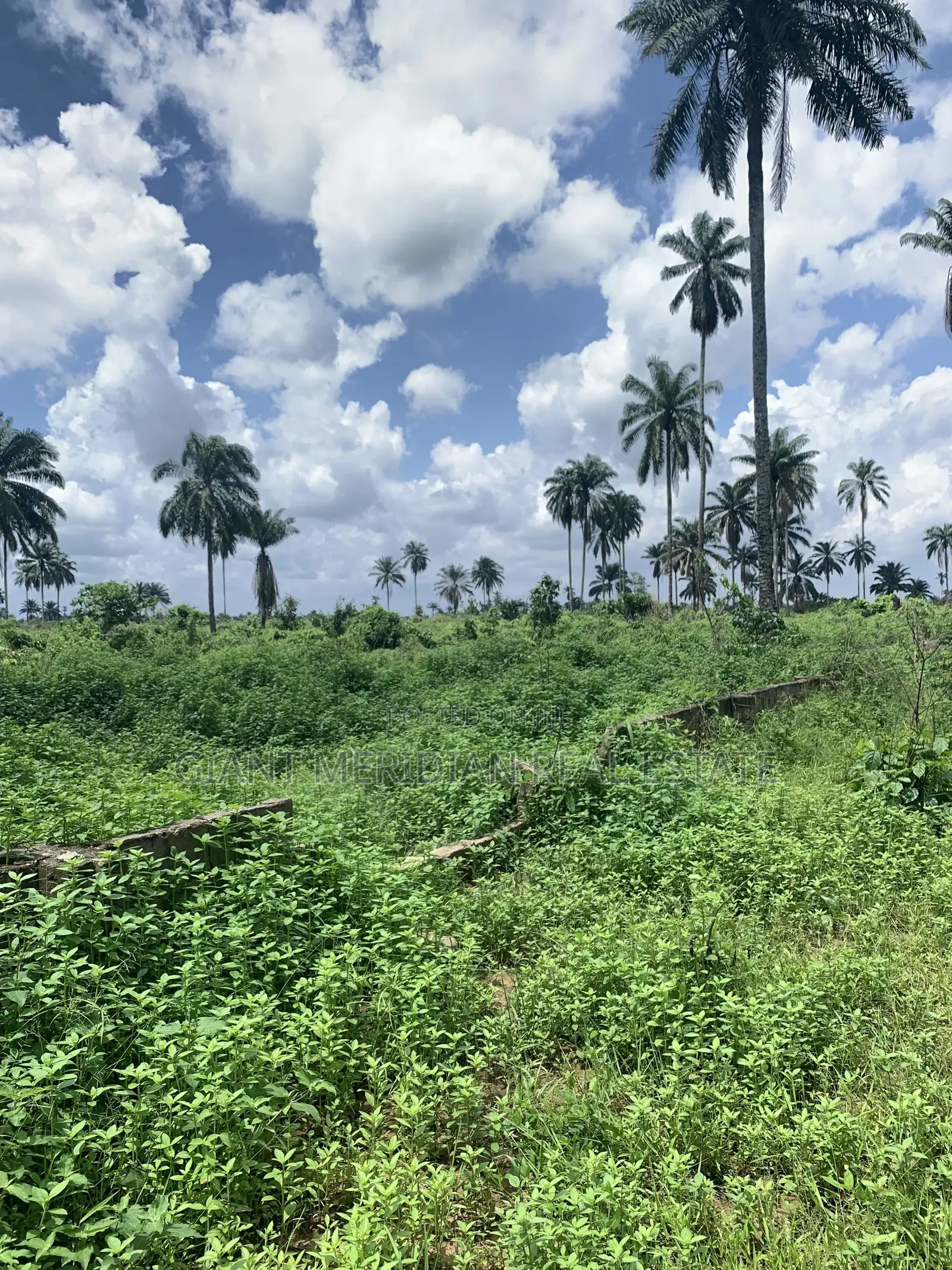 Land for Sale in Igwuruta, Ph in Obio-Akpor
