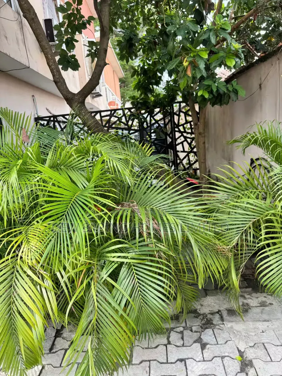 Luxury 2 Bedroom Short-Let Apartment in Lekki Phase 1