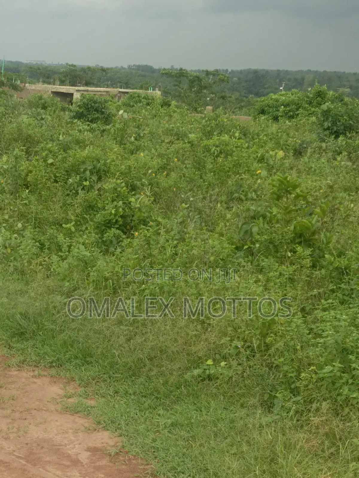 Arcas of Land at Ikene Road Sagamu in Sagamu