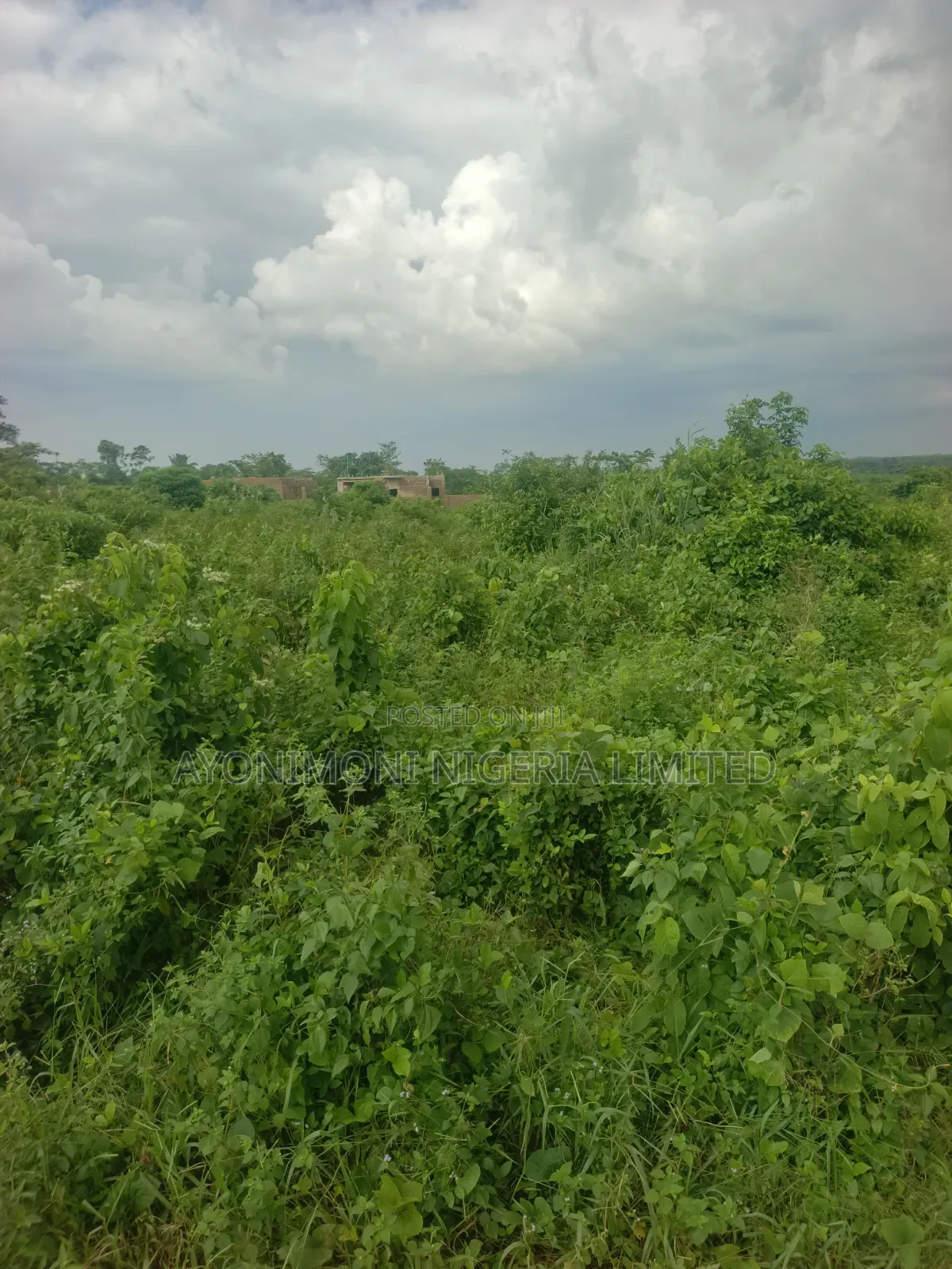 Arcas of Land at Ikene Road Sagamu in Sagamu