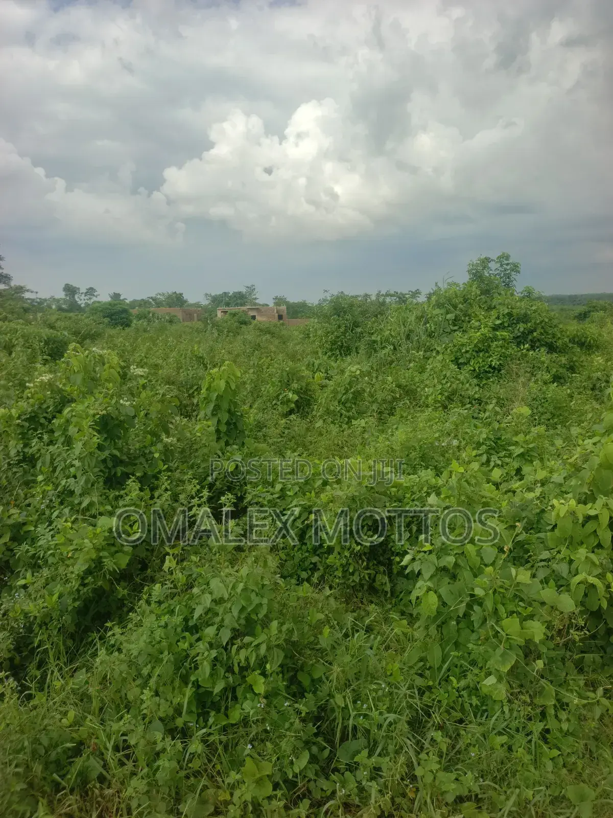 Arcas of Land at Ikene Road Sagamu in Sagamu