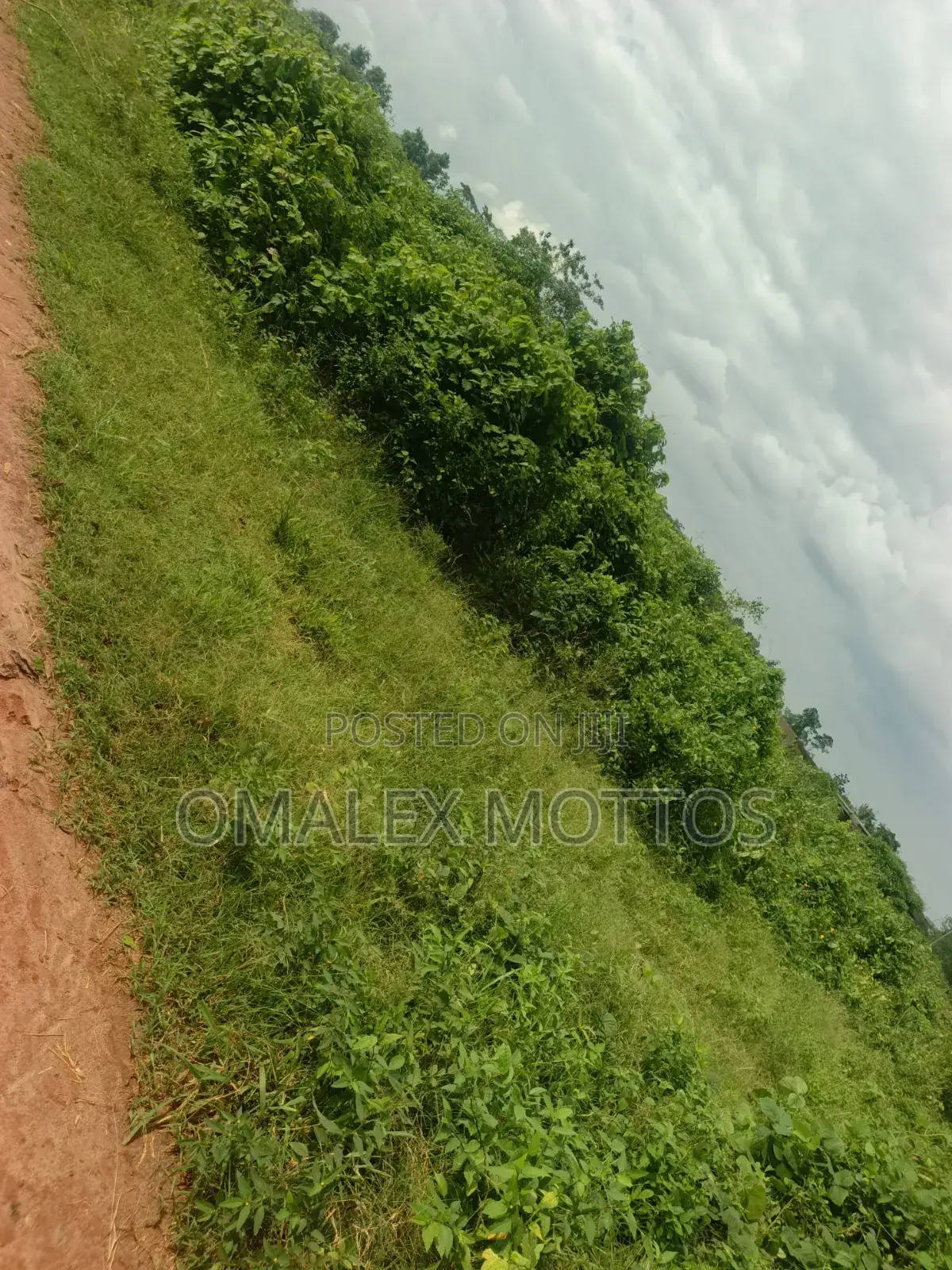 Arcas of Land at Ikene Road Sagamu in Sagamu