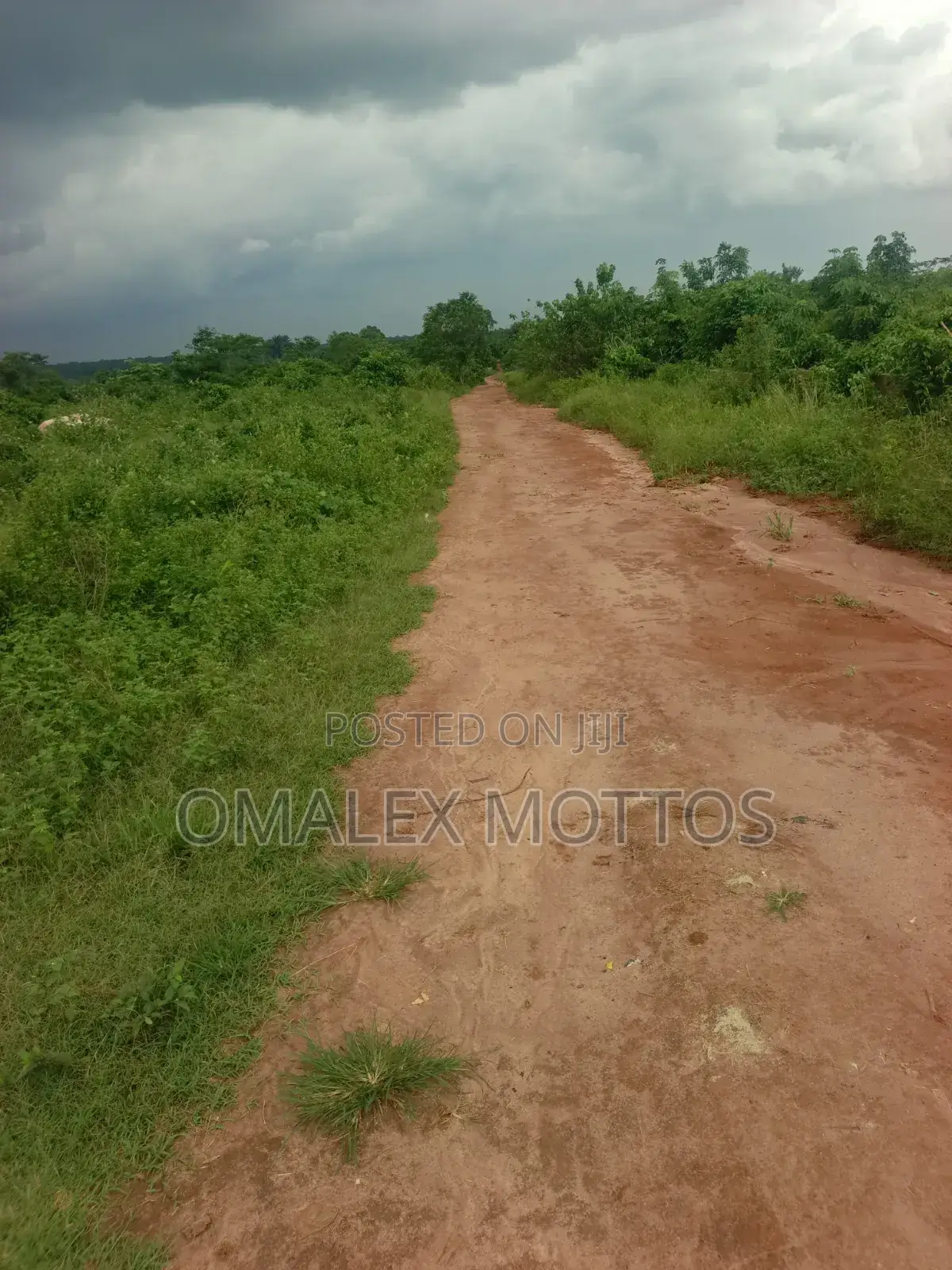 Arcas of Land at Ikene Road Sagamu in Sagamu