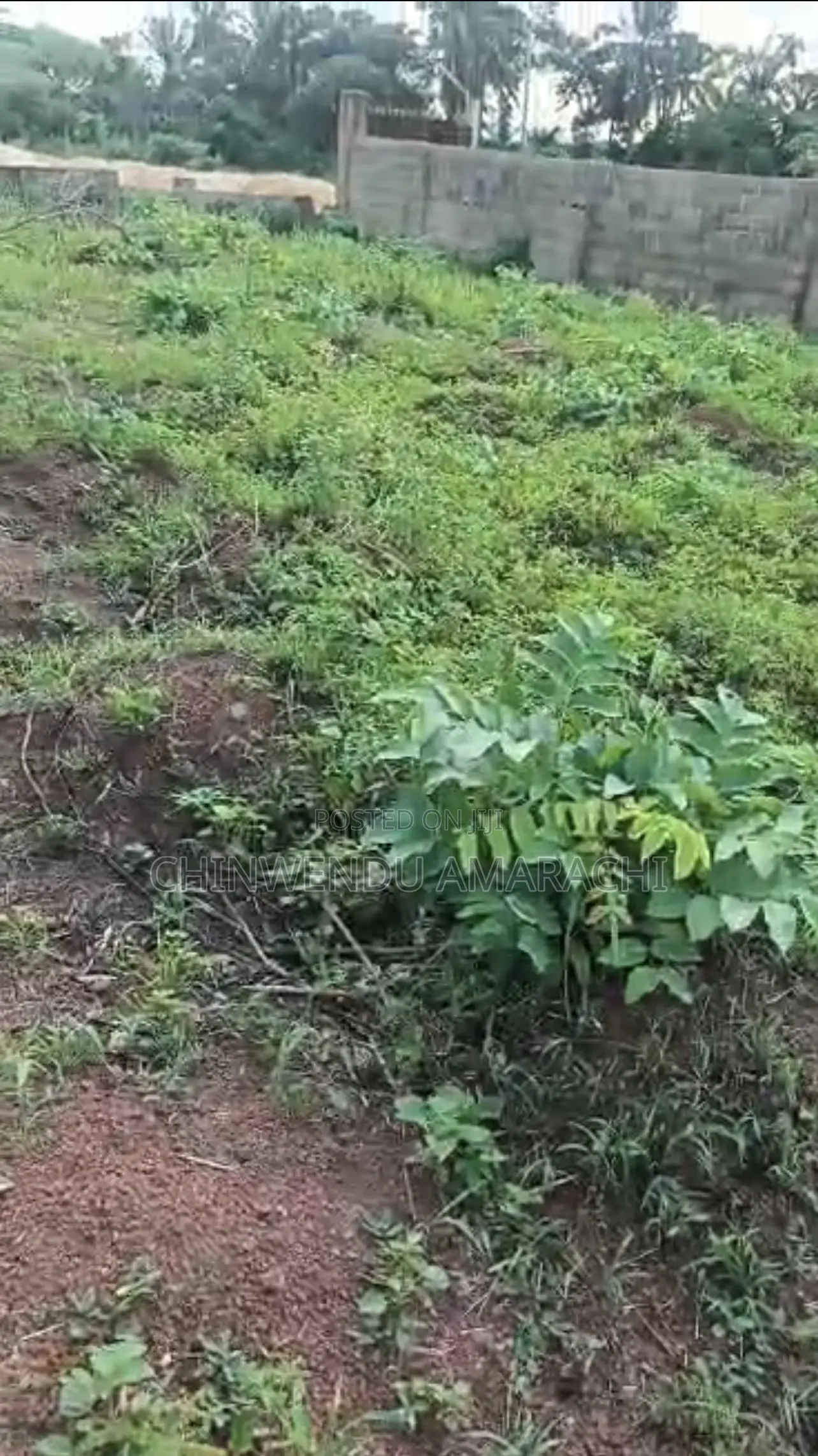 Plot of Land for Sale in Enugu State