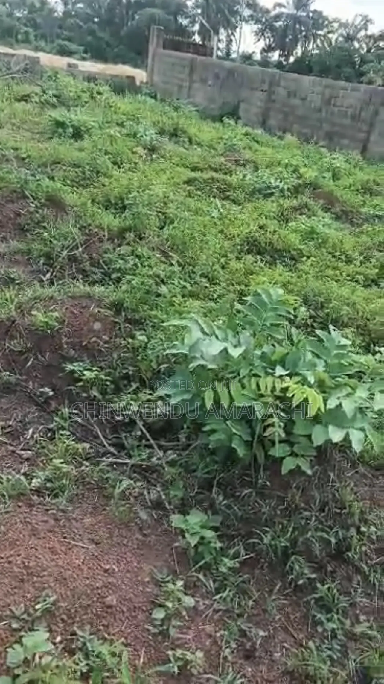 Plot of Land for Sale in Enugu State