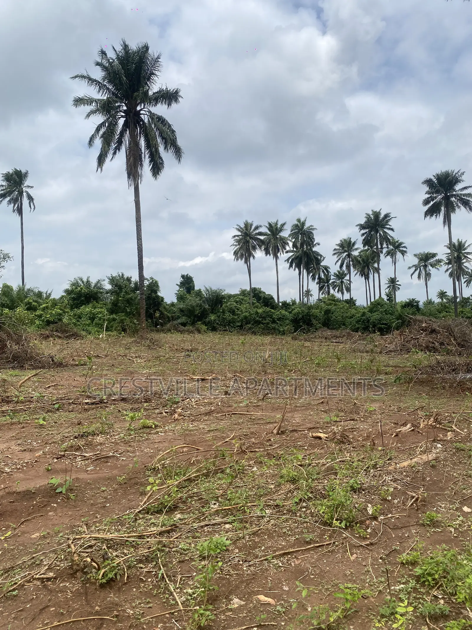 Plots Acres for Sale at Aviation City, 20 Min to Gateway Int’l Airport in Remo North