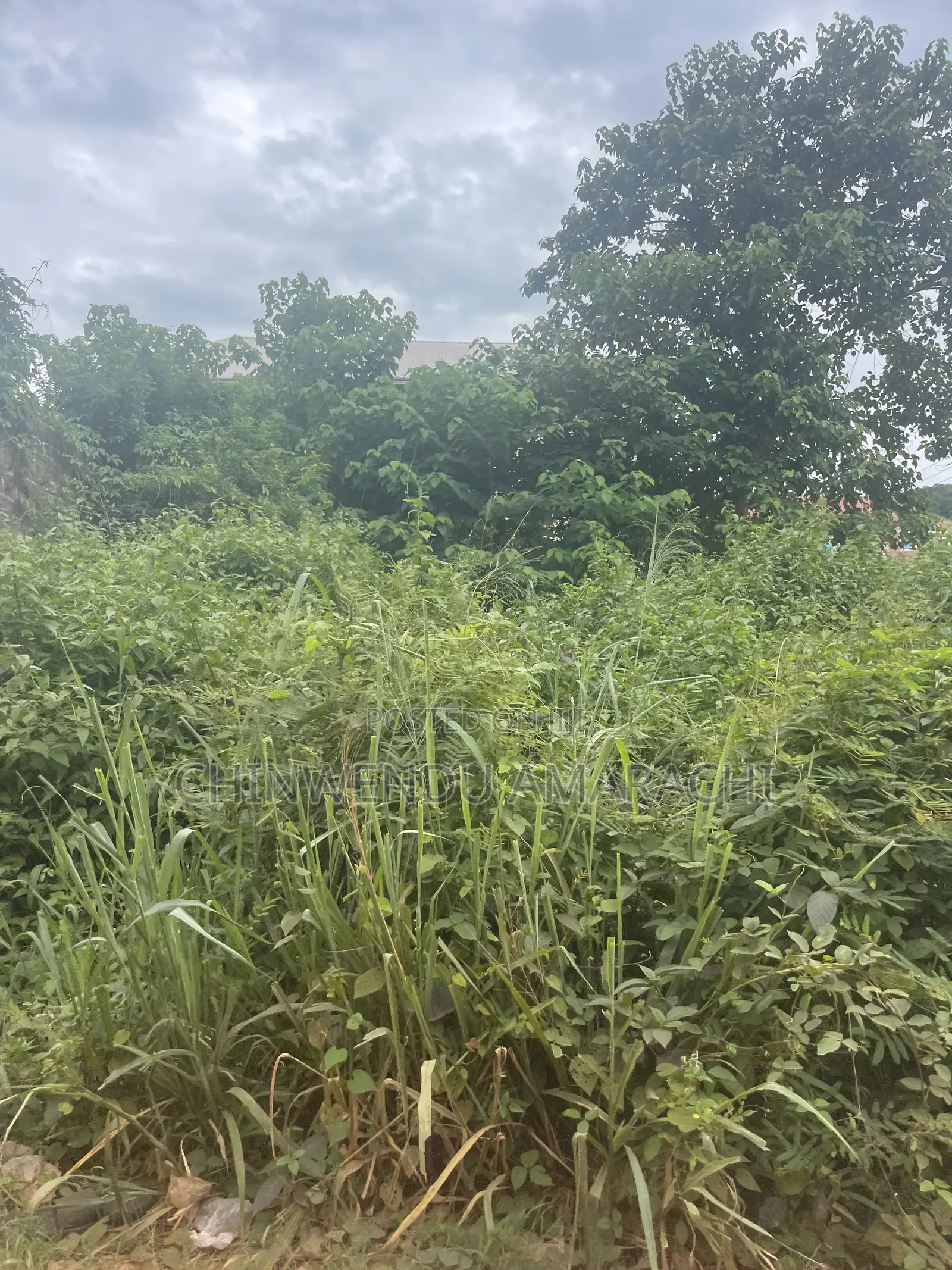 Plots of Land for Sale in Enugu