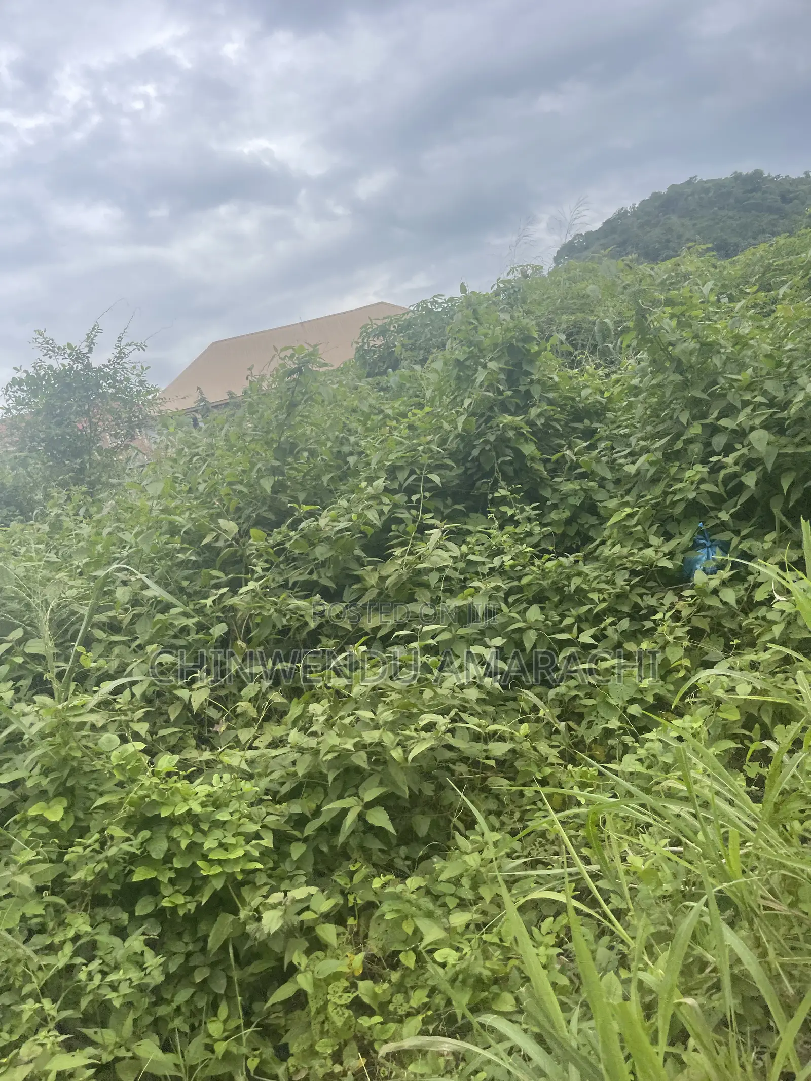 Plots of Land for Sale in Enugu