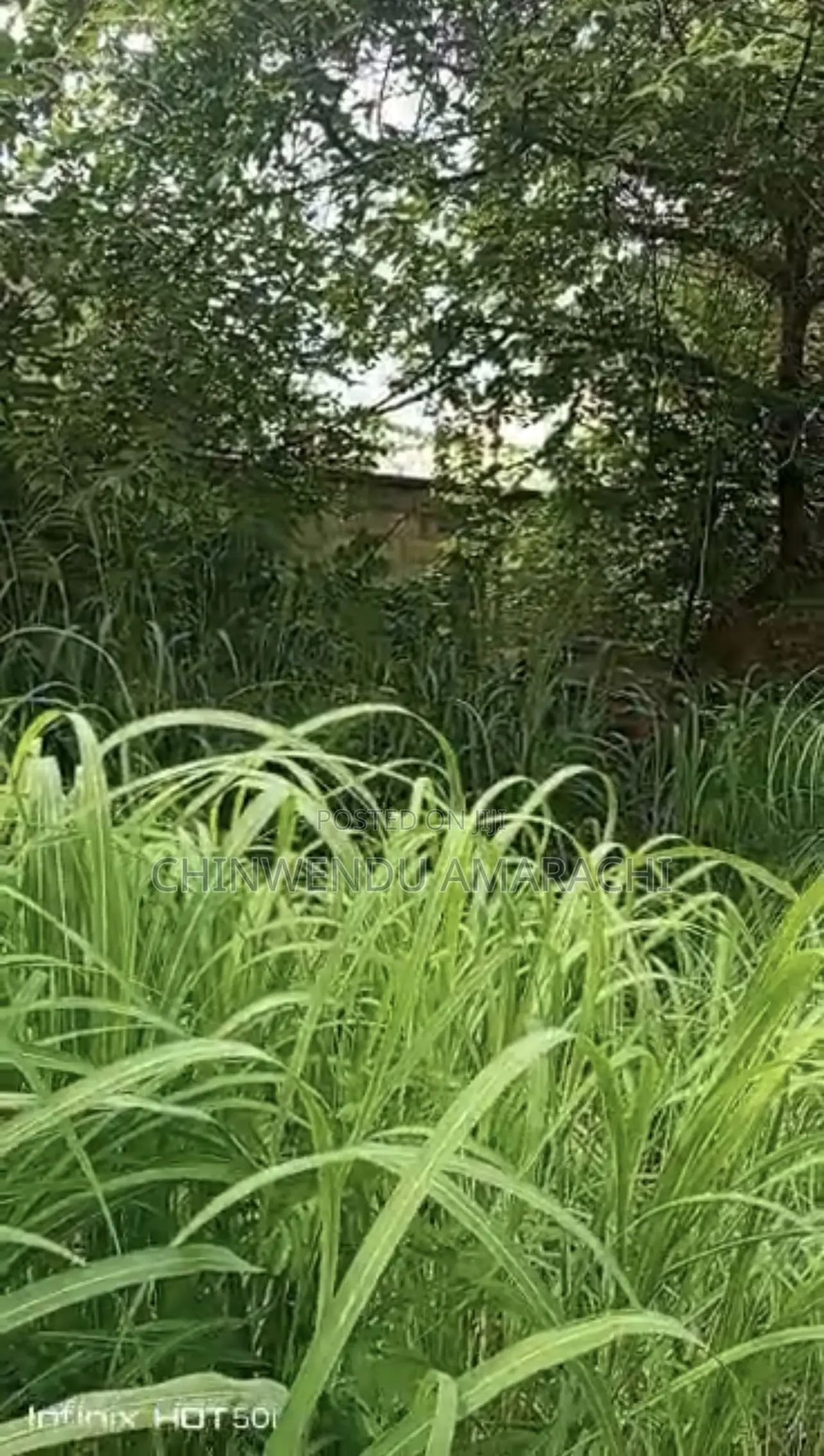 Land for Sale in Nsukka