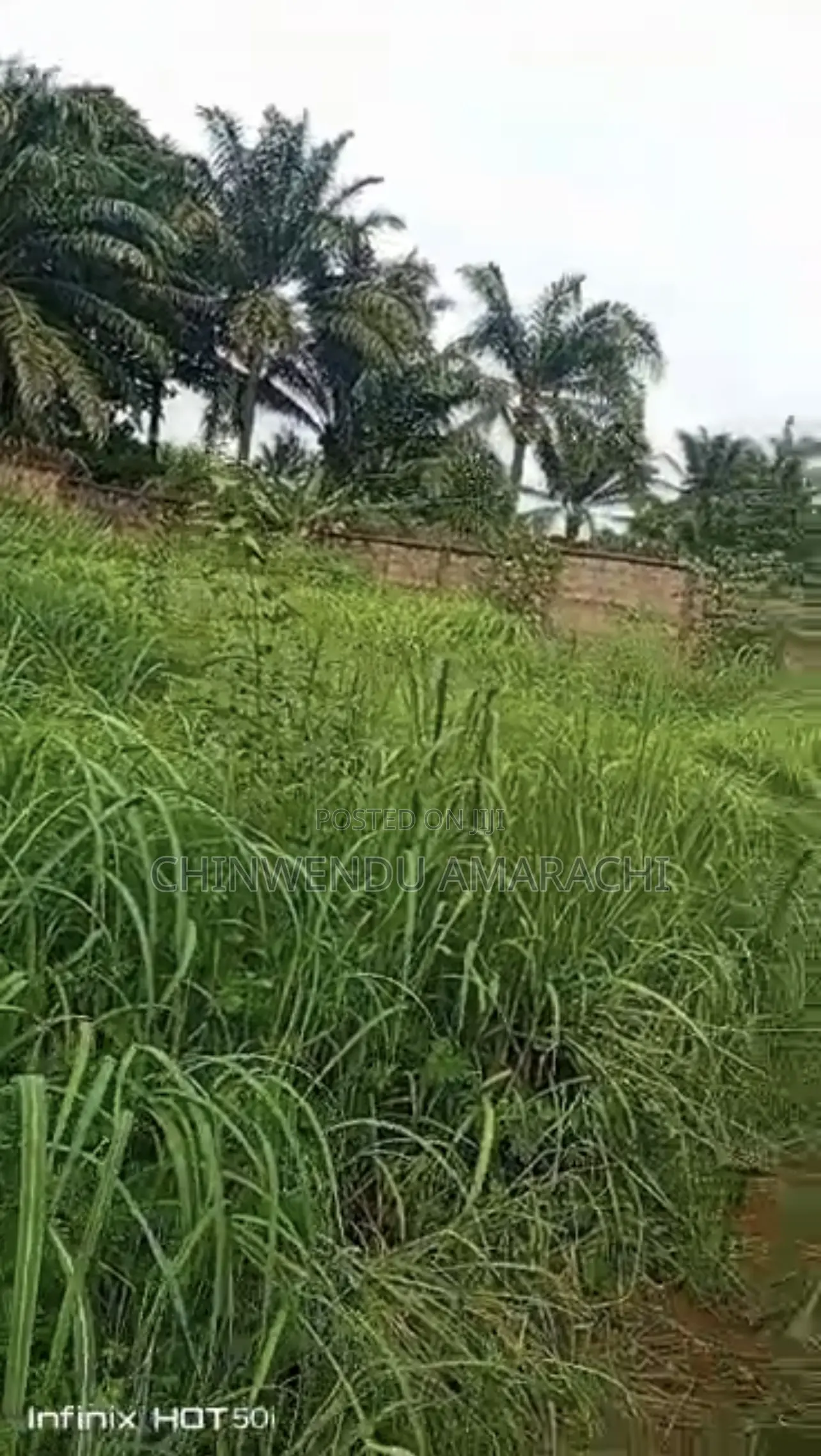 Land for Sale in Nsukka