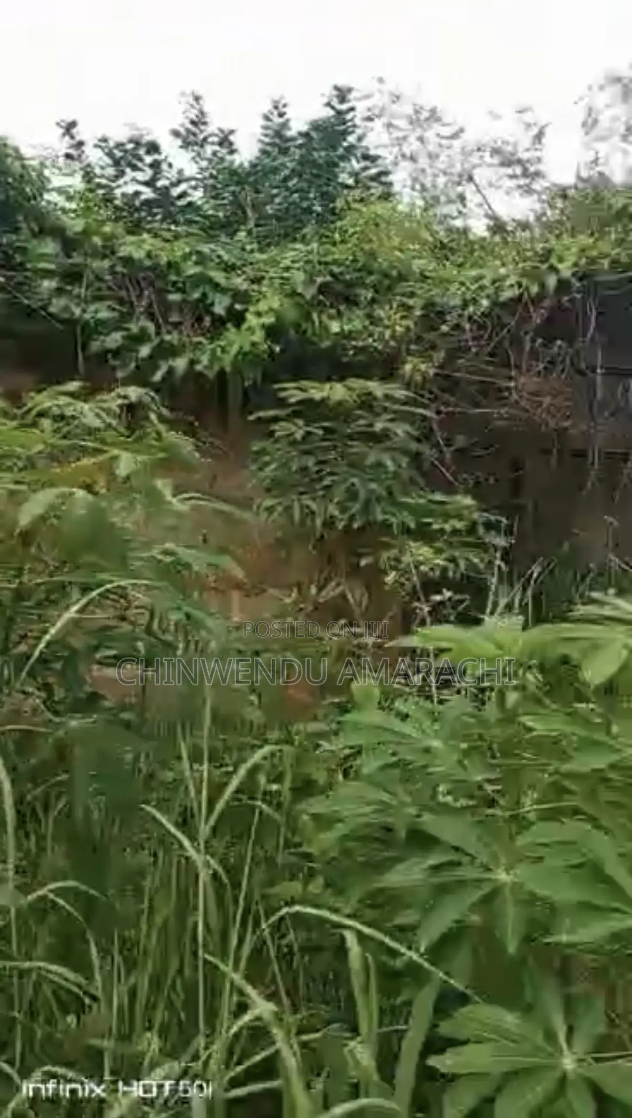 Land for Sale in Nsukka