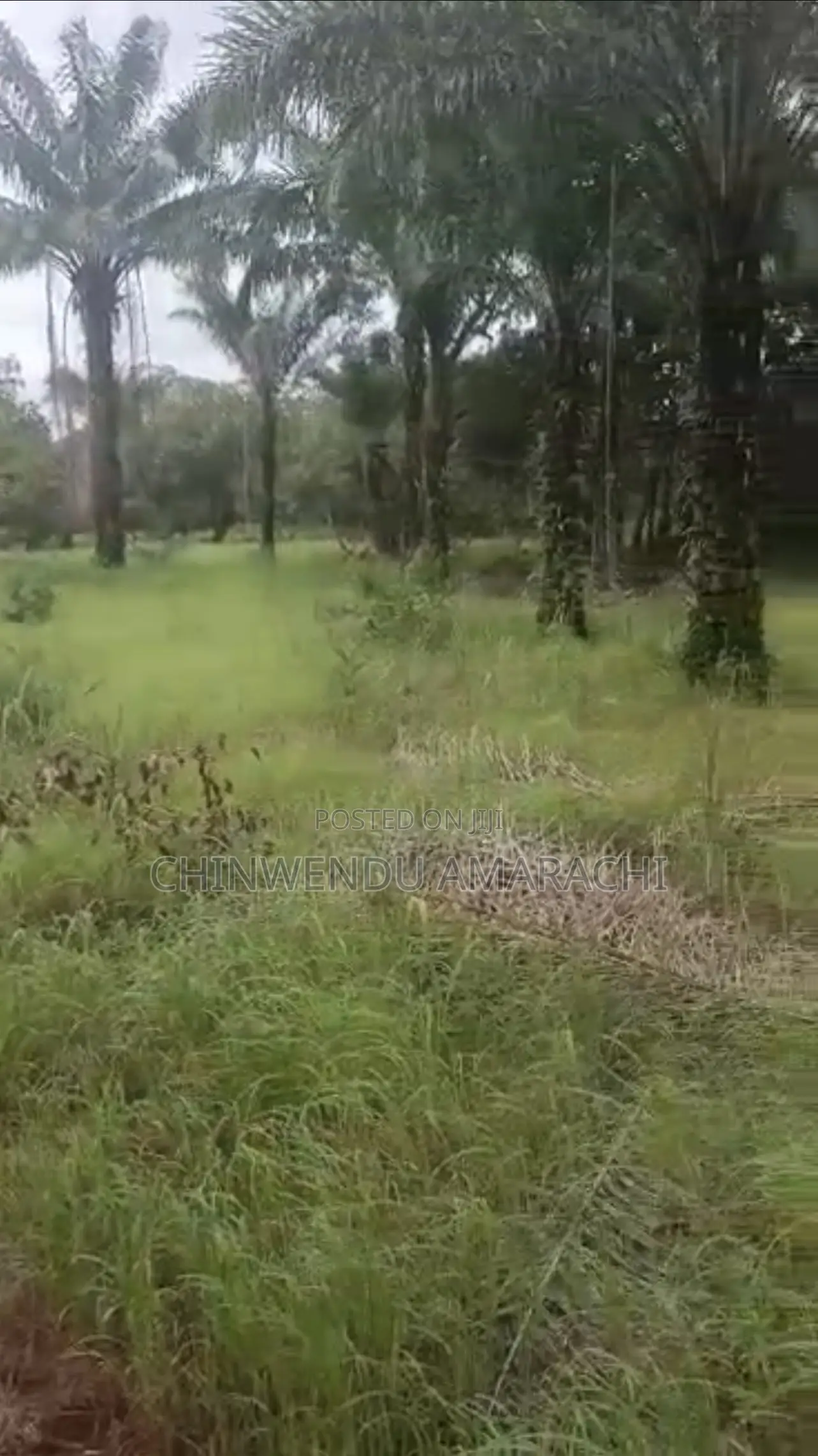 Land for Sale in Nsukka