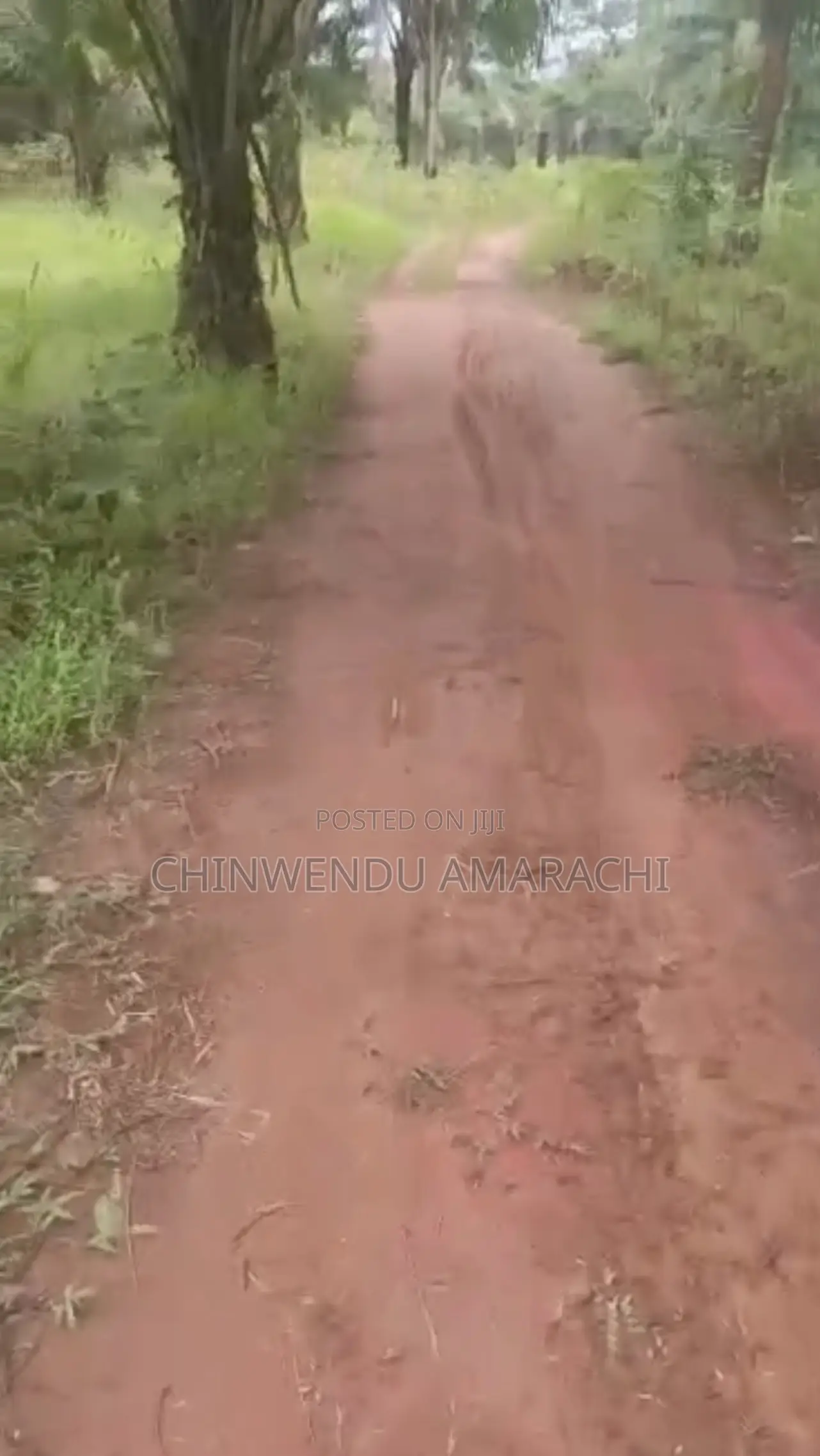 Land for Sale in Nsukka