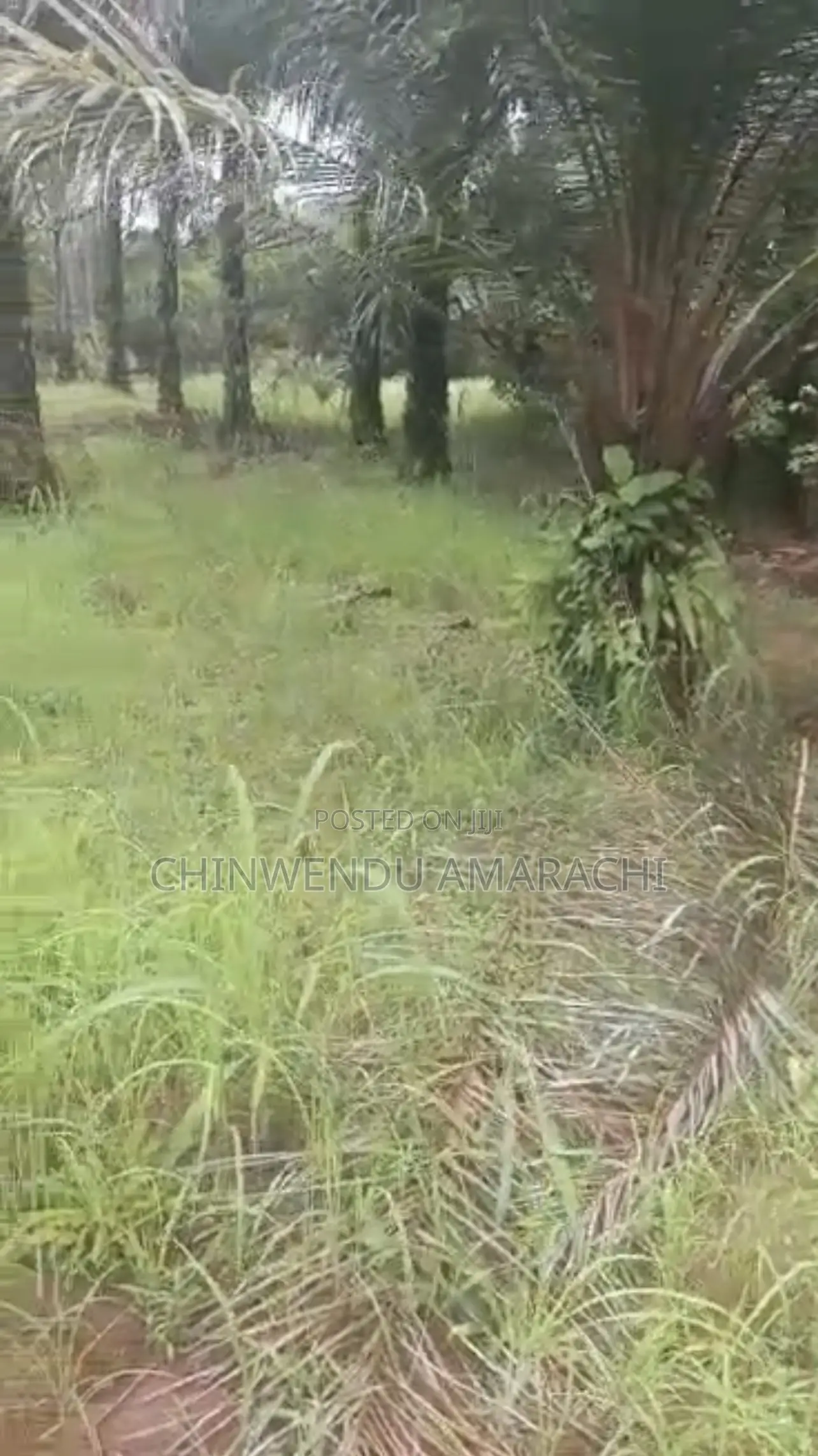 Land for Sale in Nsukka